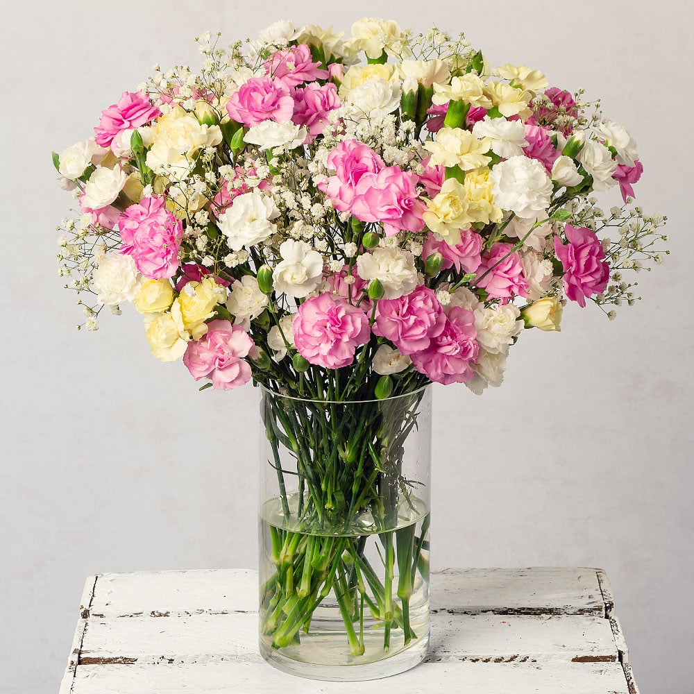Photograph 1 of Spray Cascade Luxe