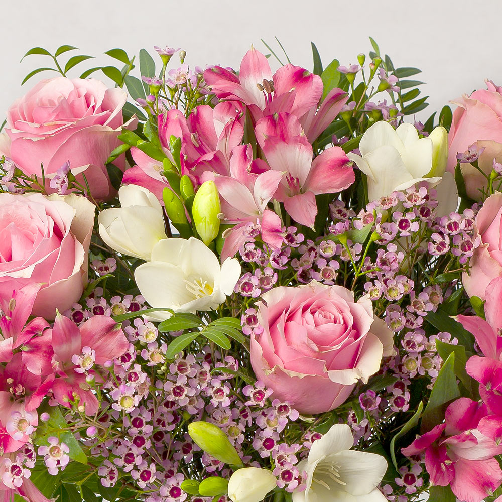 Image of Pink Roses and Freesias