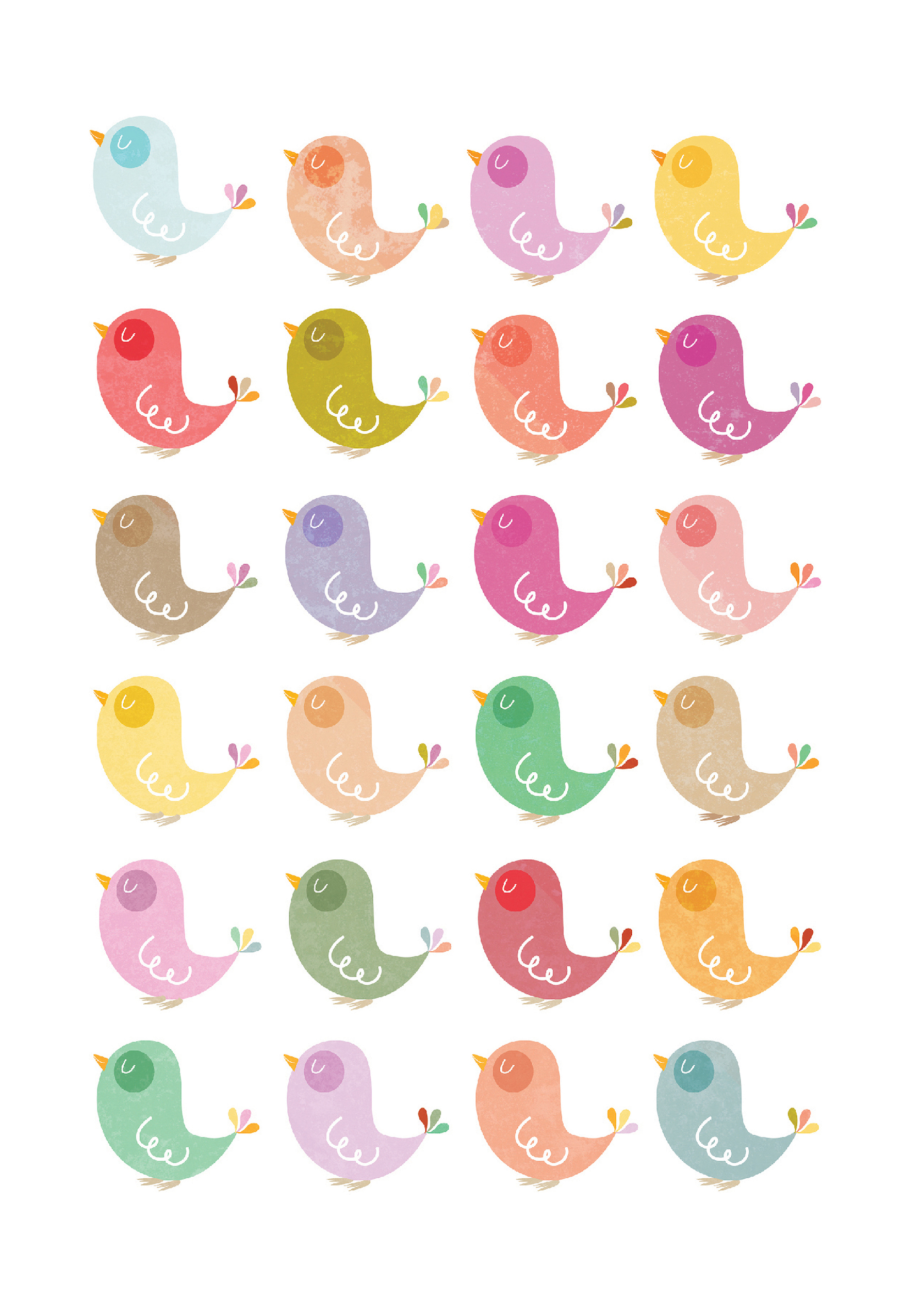 Photograph of All Occasions Birds