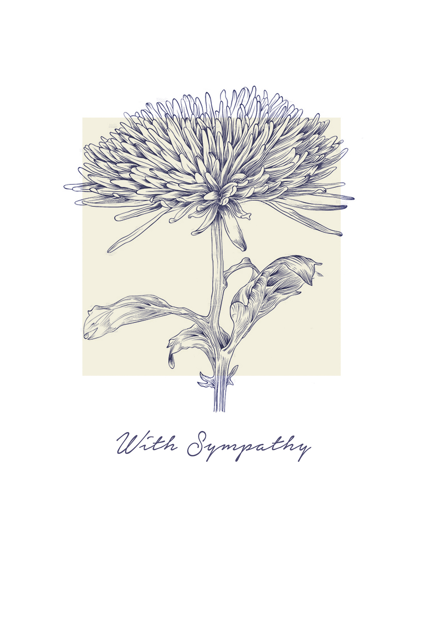 Photograph of Sympathy Card