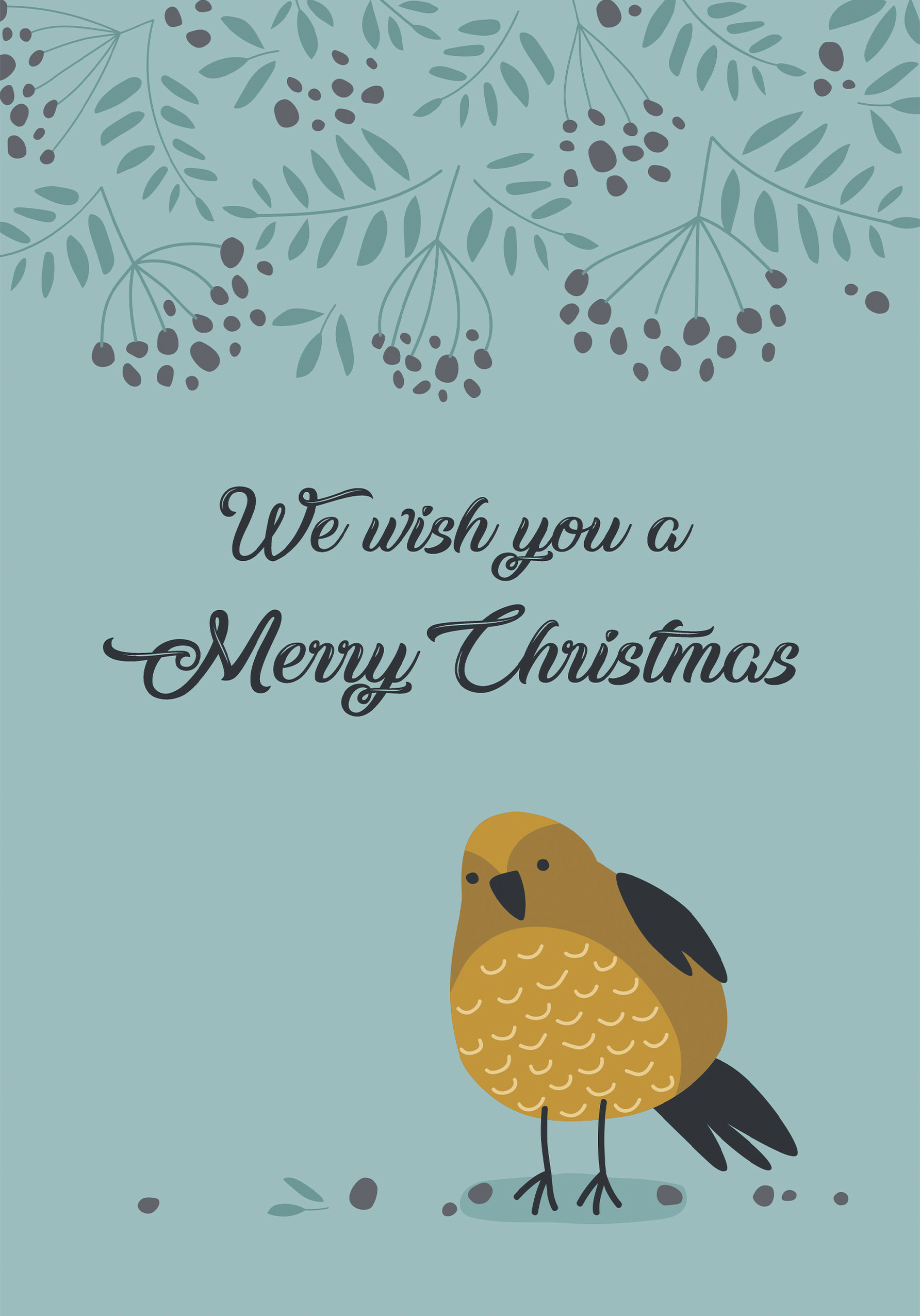 Photograph of Robin Christmas Card