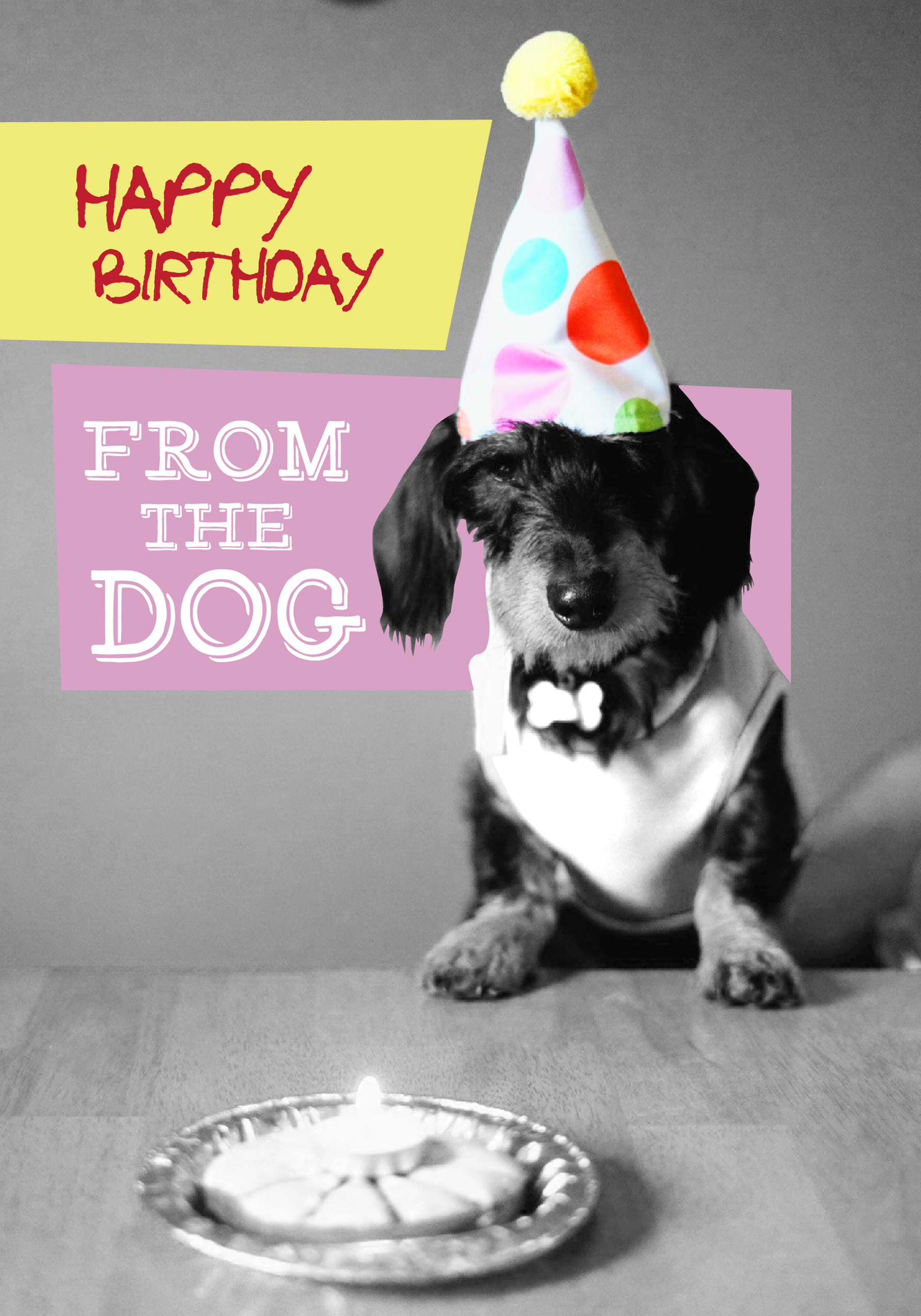 Happy Birthday From The Dog