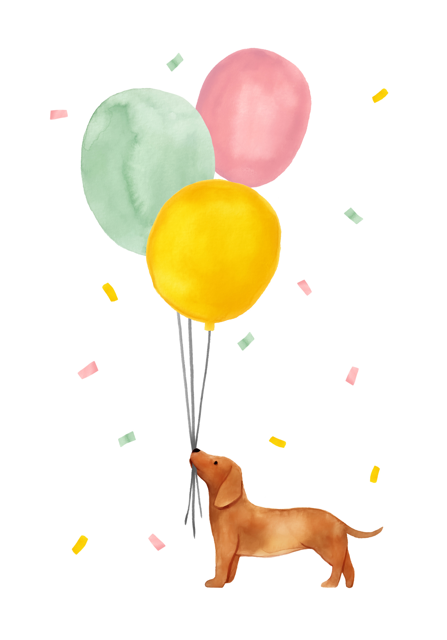 Photograph of Dachshund With Balloons A5