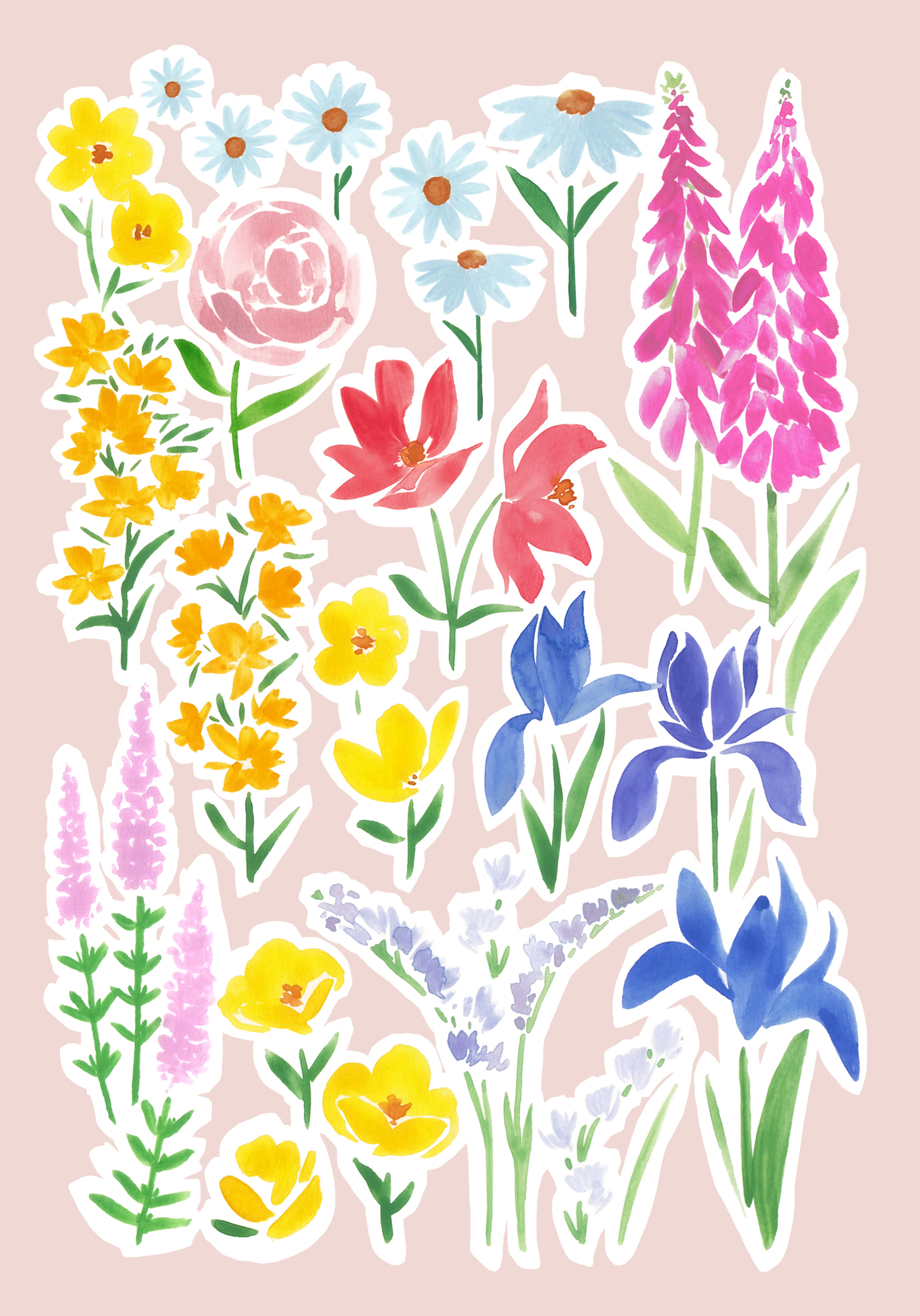 Photograph of All Occasions Wildflower Collage
