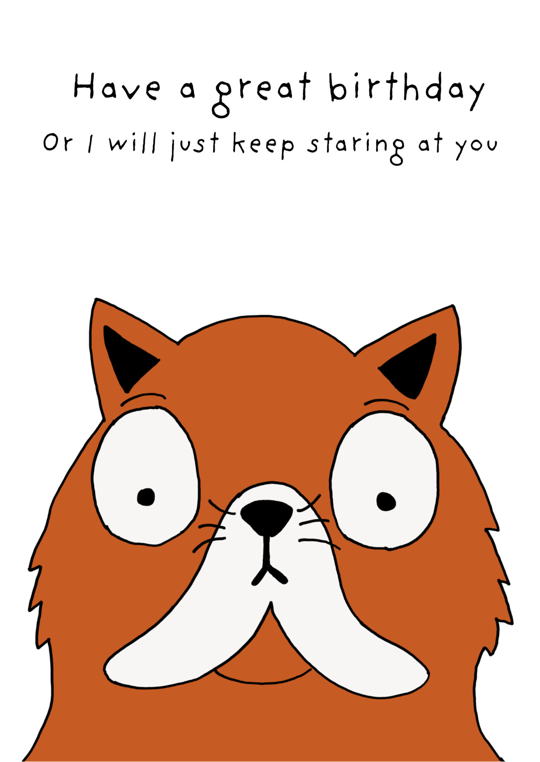 Photograph of Staring cat