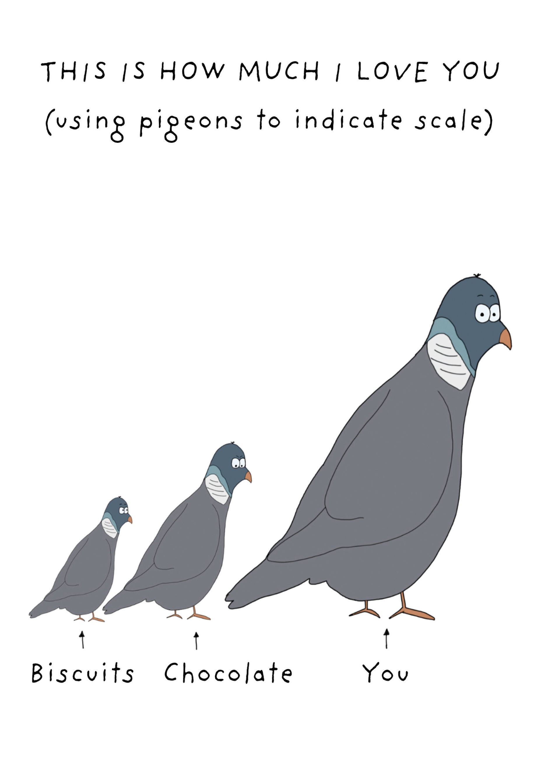 Photograph of Pigeon love