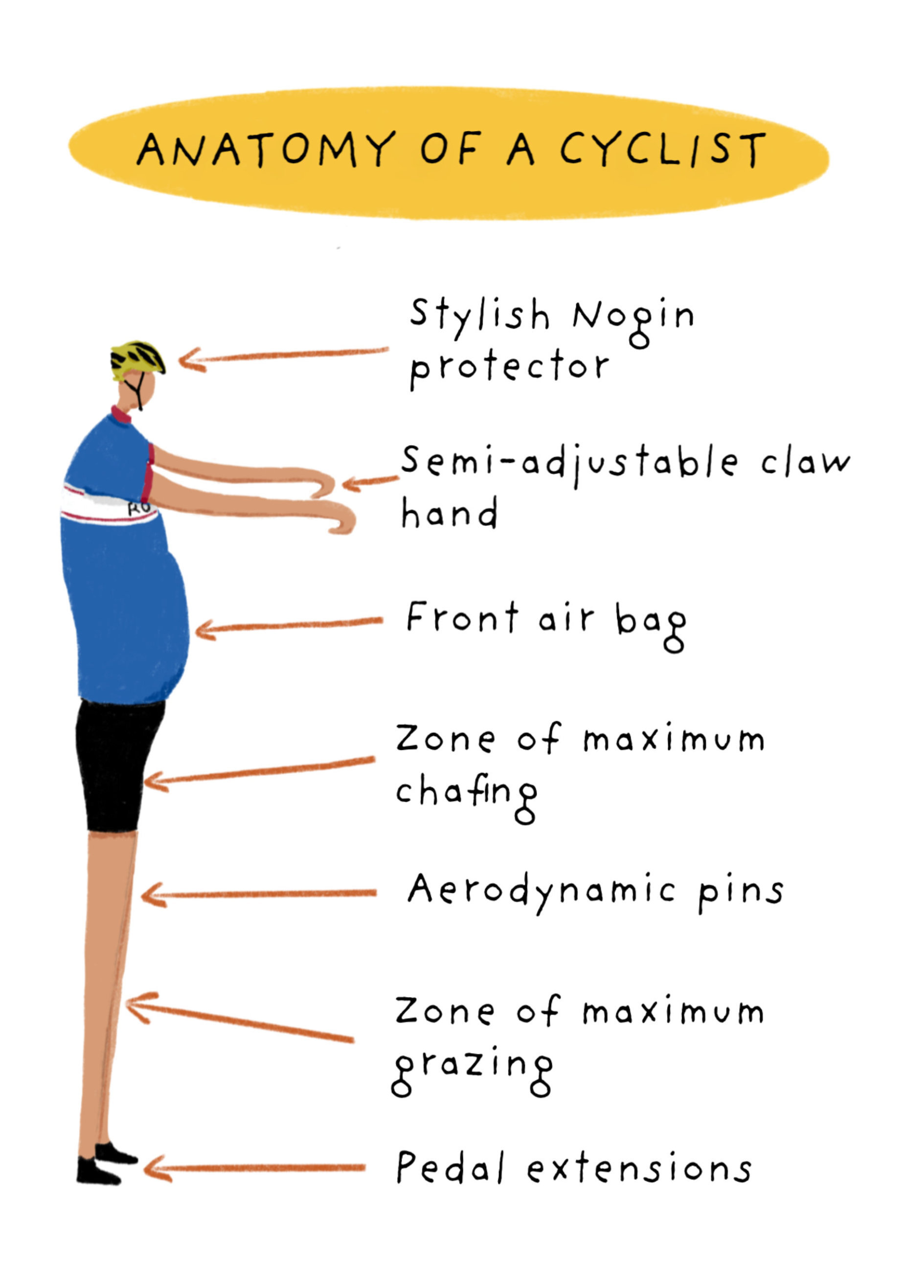 Photograph of Anatomy of a cyclist