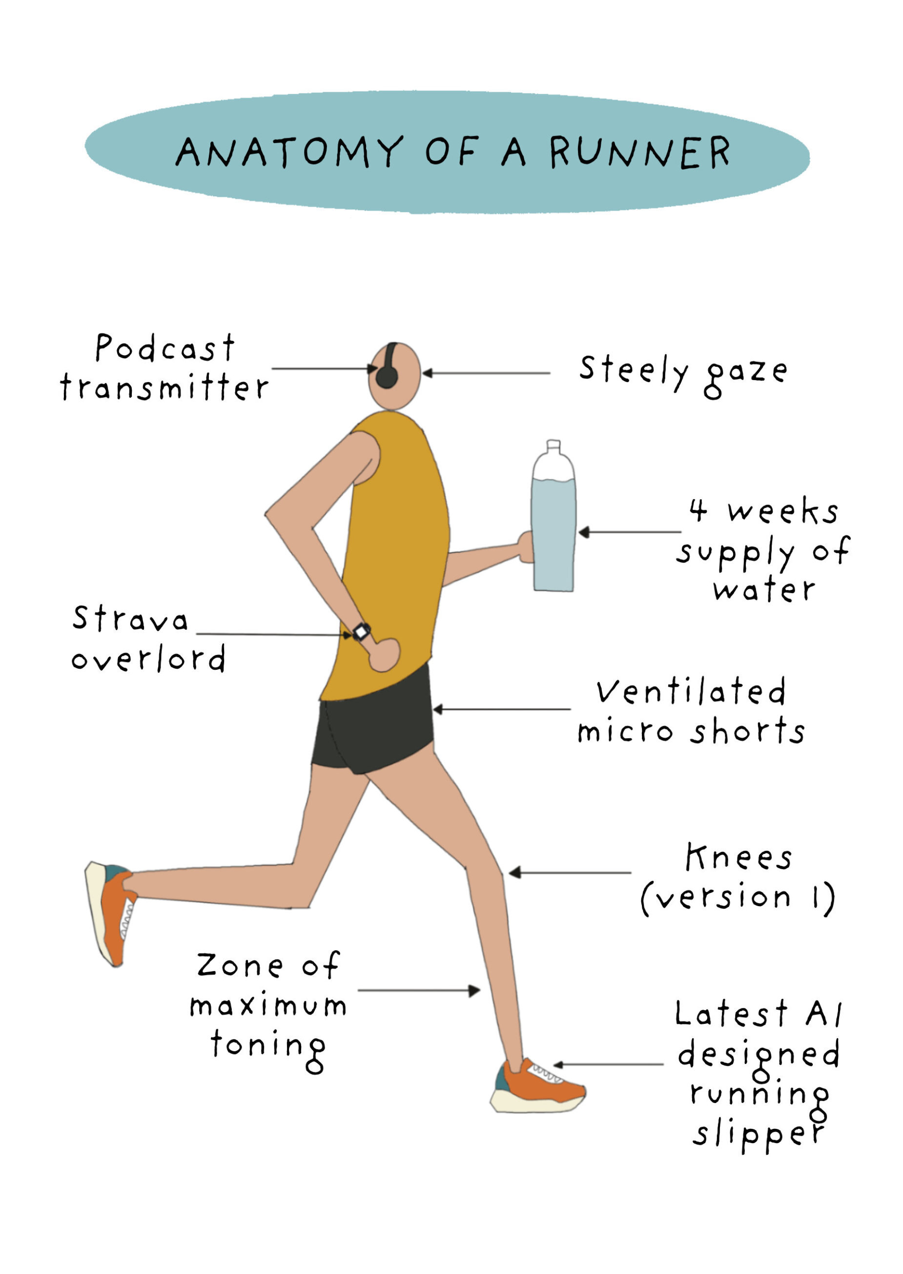 Photograph of Anatomy of a runner