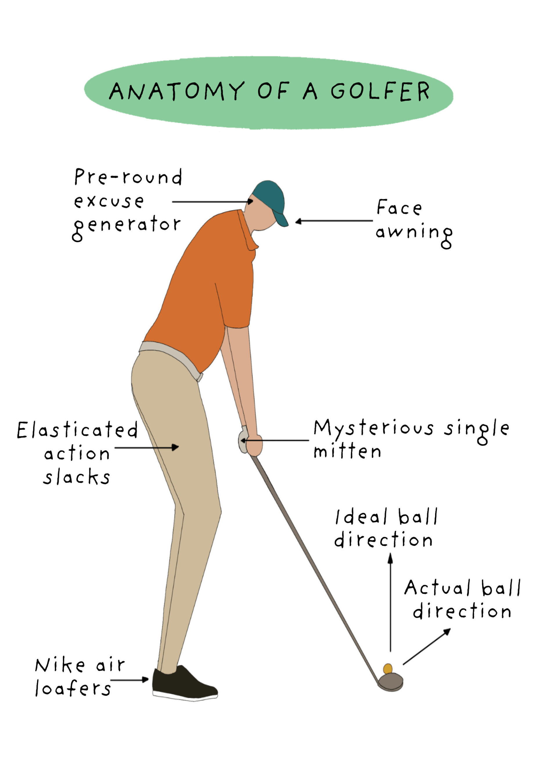Photograph of Anatomy of a golfer