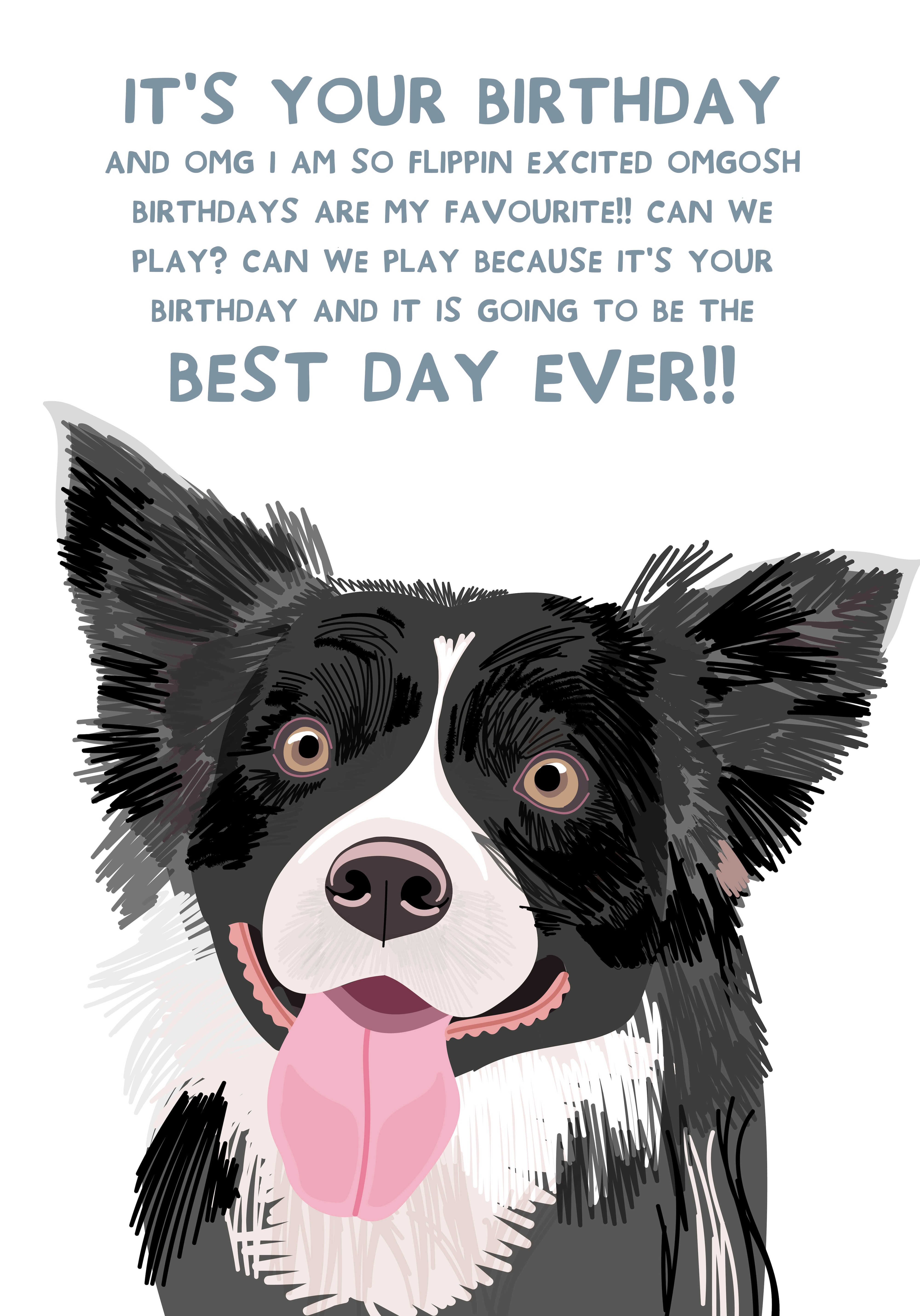 Photograph of From the Dog Birthday Card - Border Collie