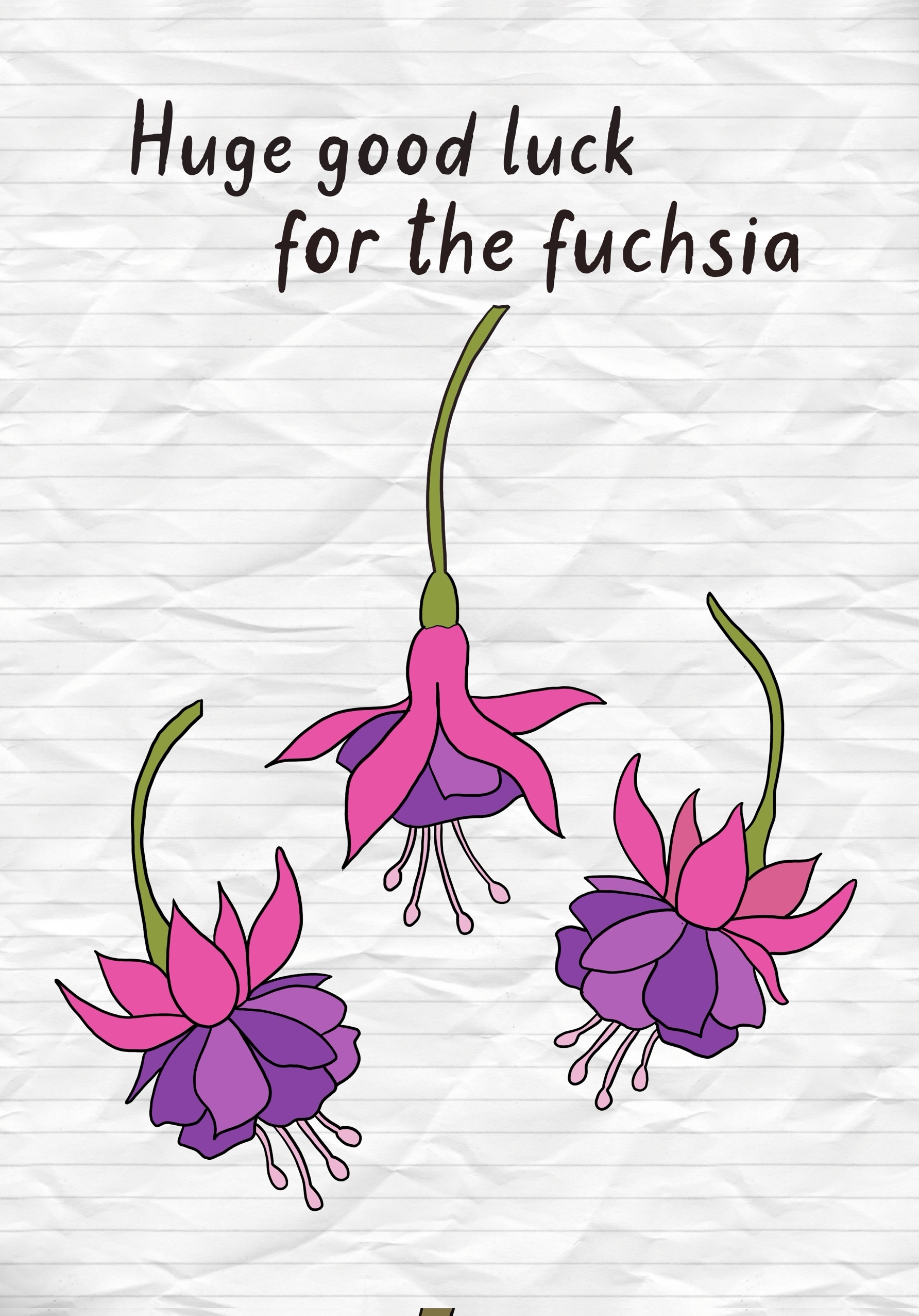 Photograph of Good Luck Card