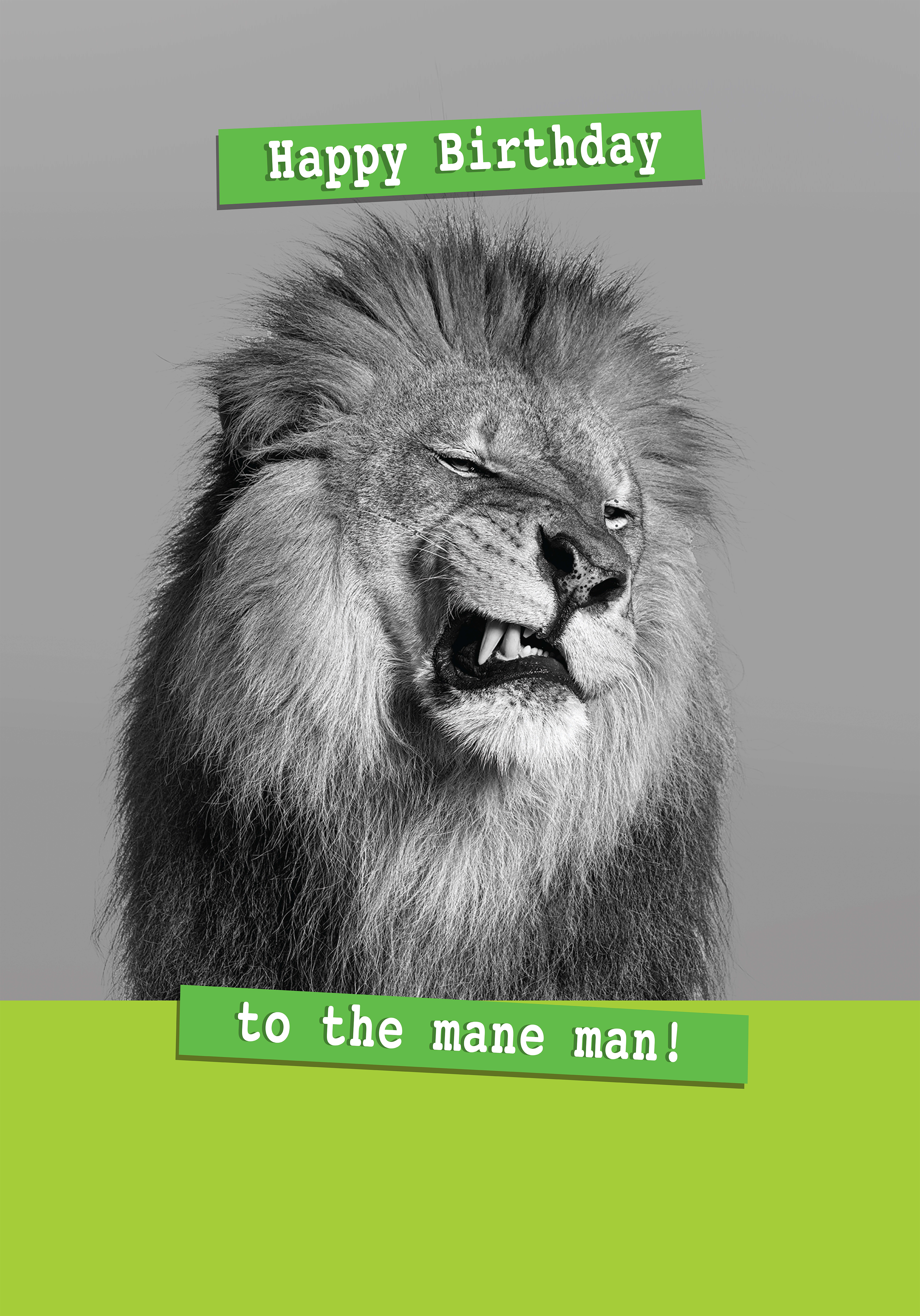 Photograph of Happy Birthday to the mane man!