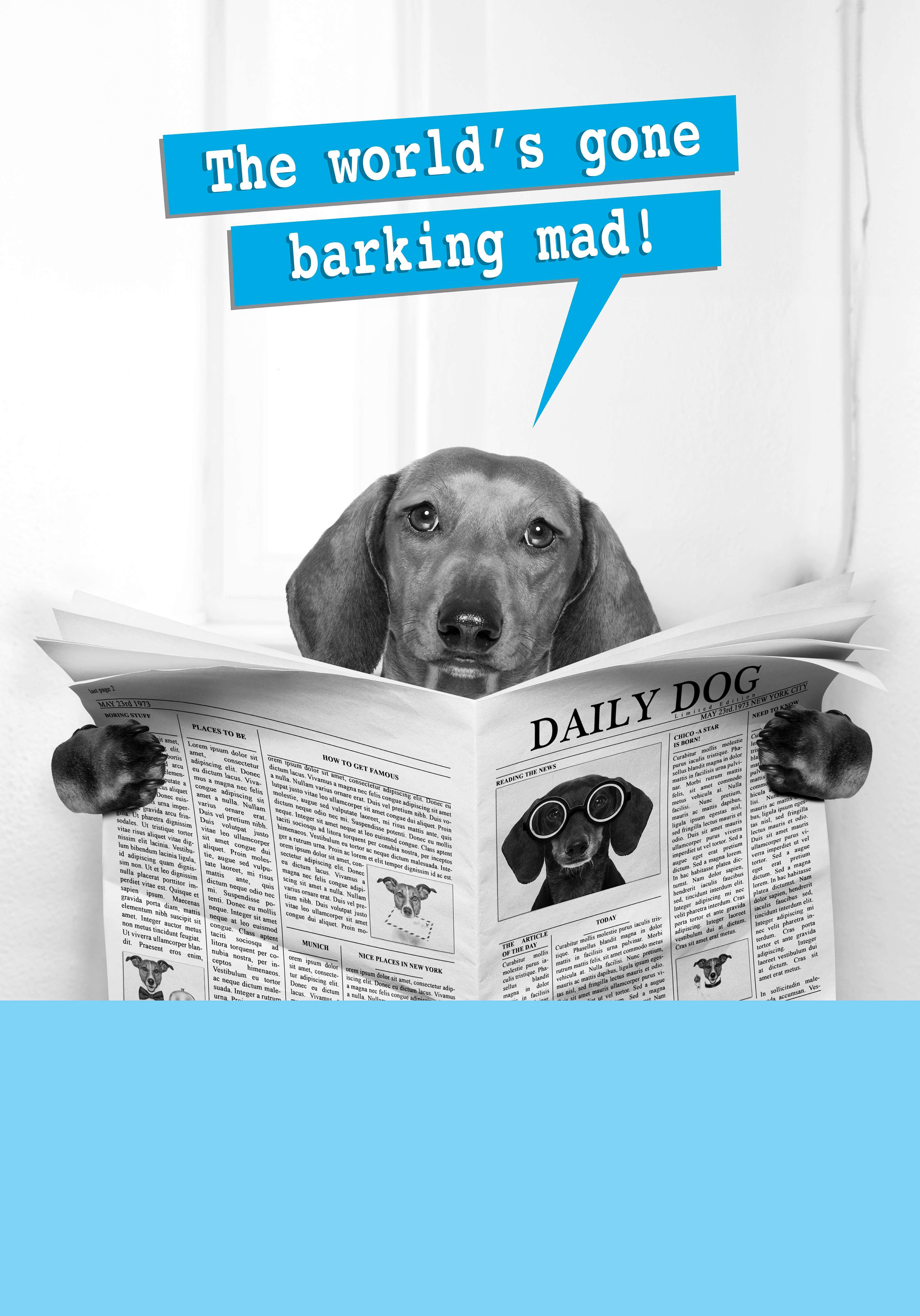 Photograph of The world's gone barking mad!