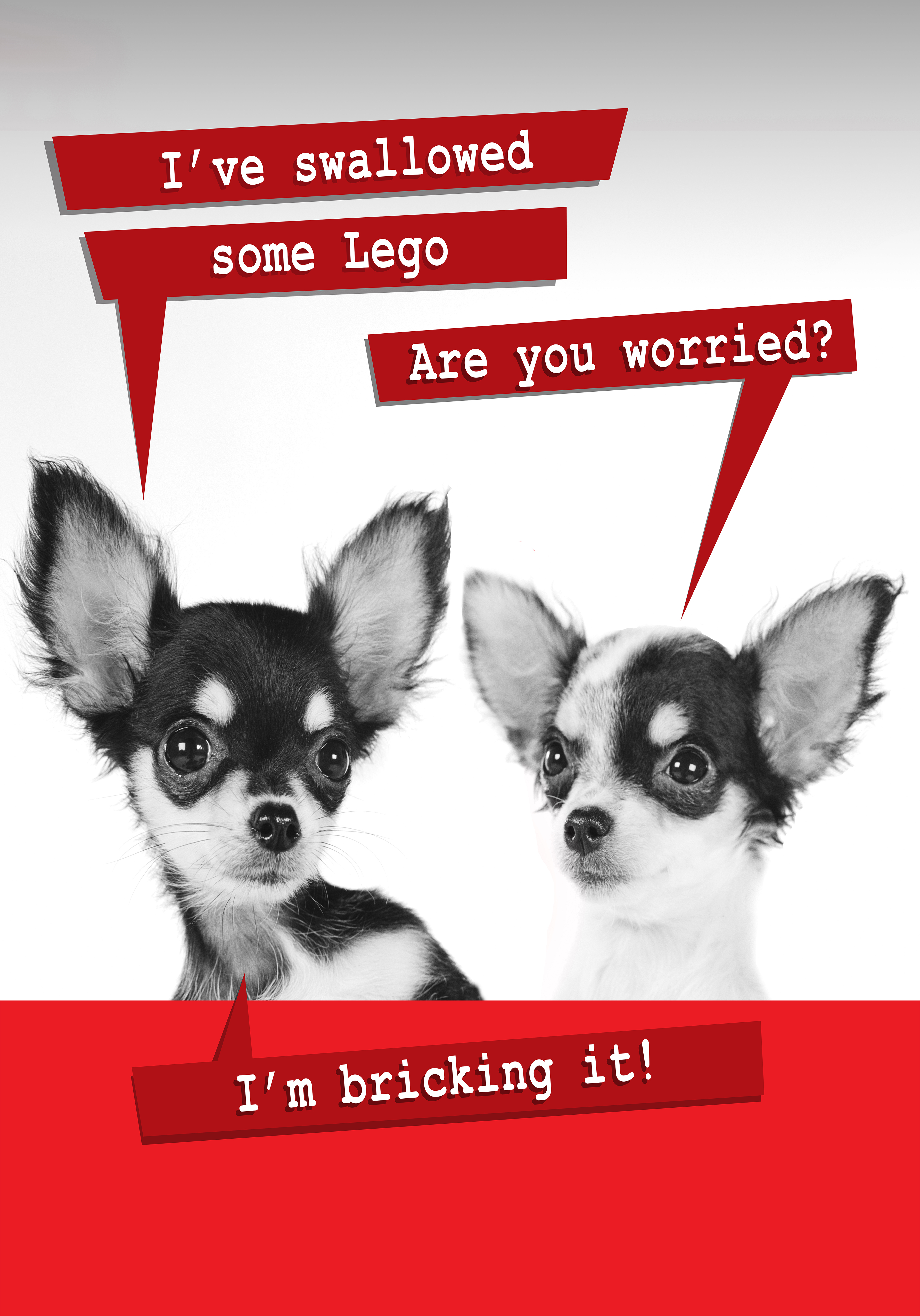 Photograph of Funny Dog Lego Birthday Card