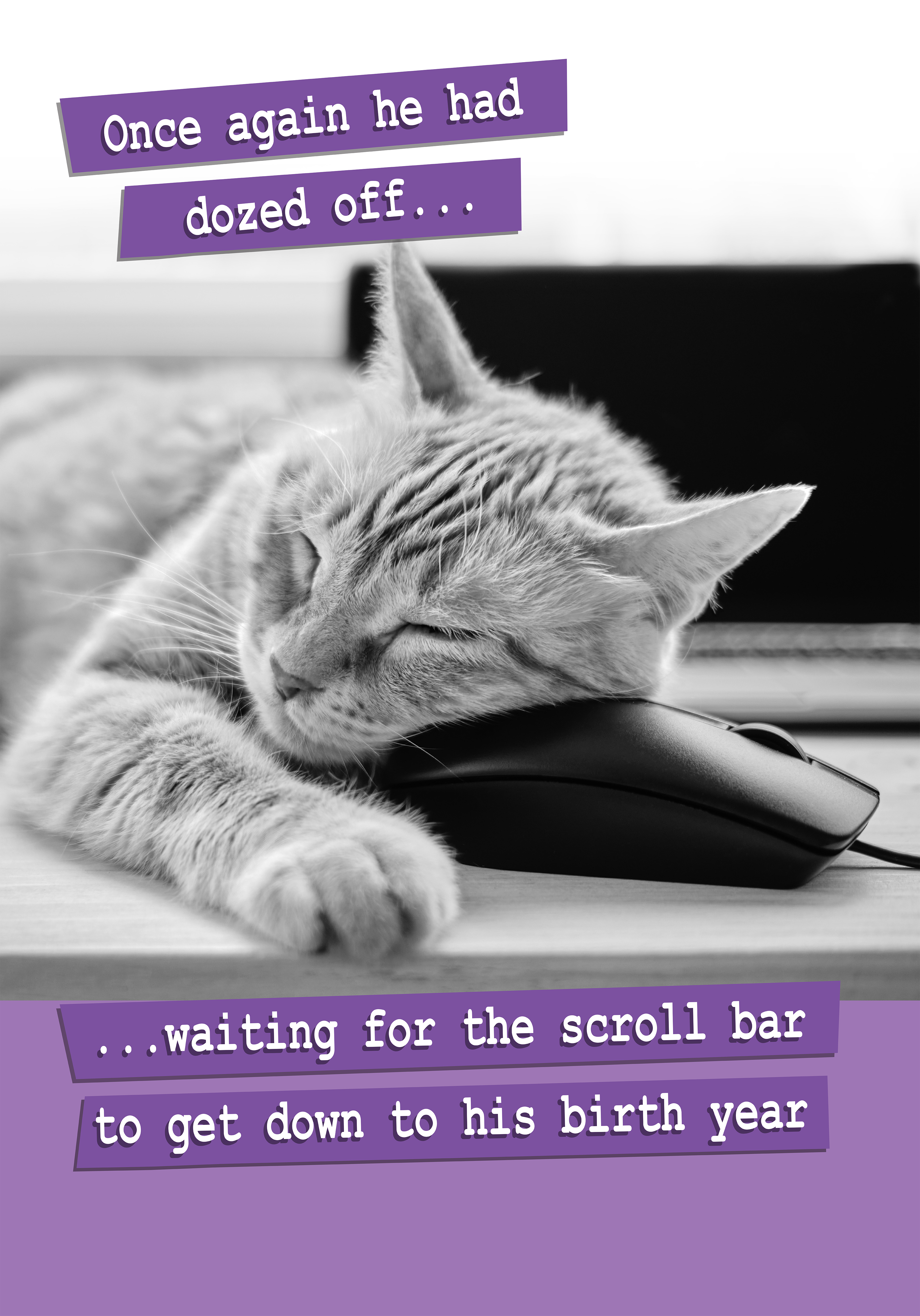 Photograph of Funny Cat Birthday Card - Waiting for Scroll Bar