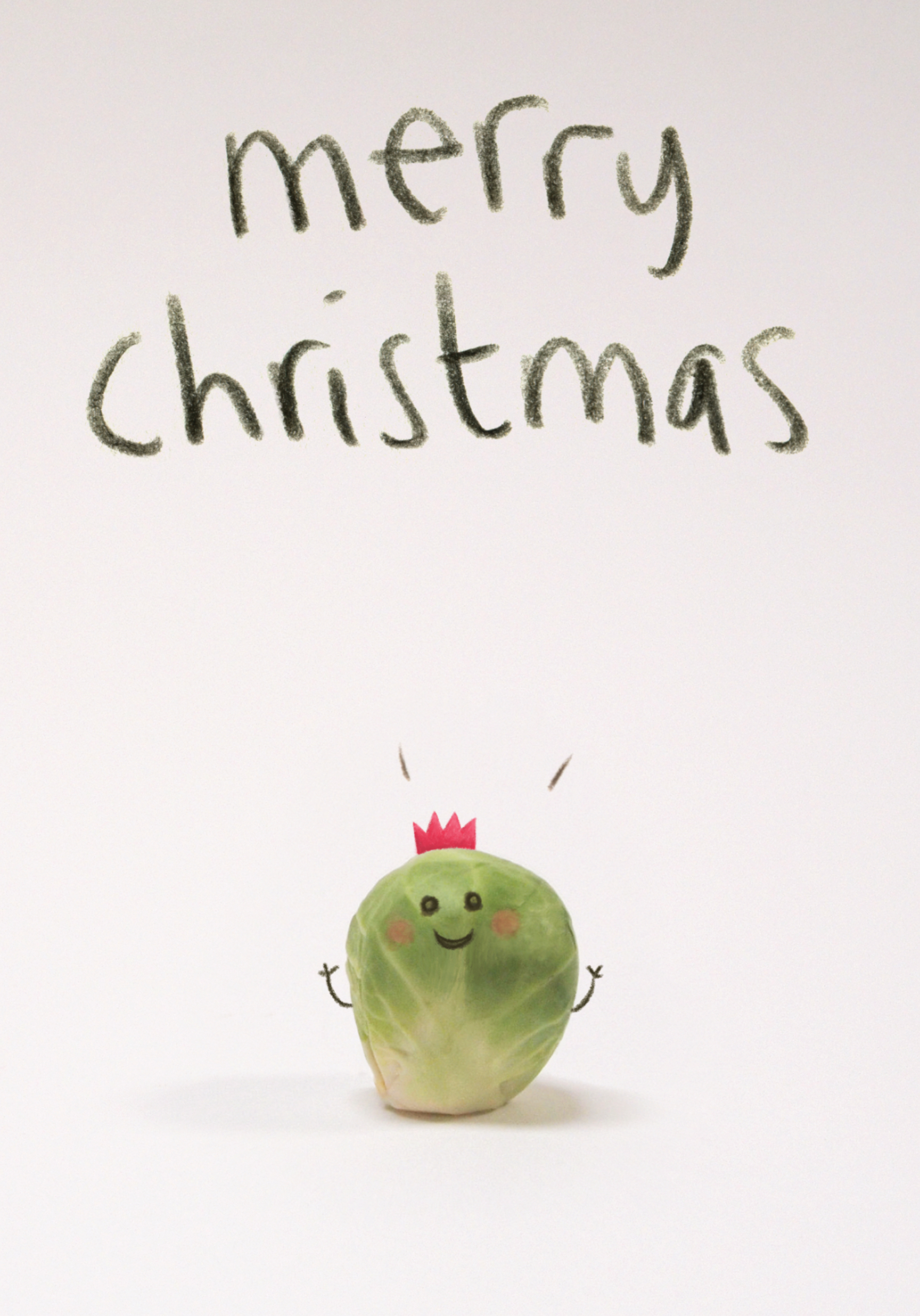 Photograph of Jolly Sprout Cute Merry Christmas Card