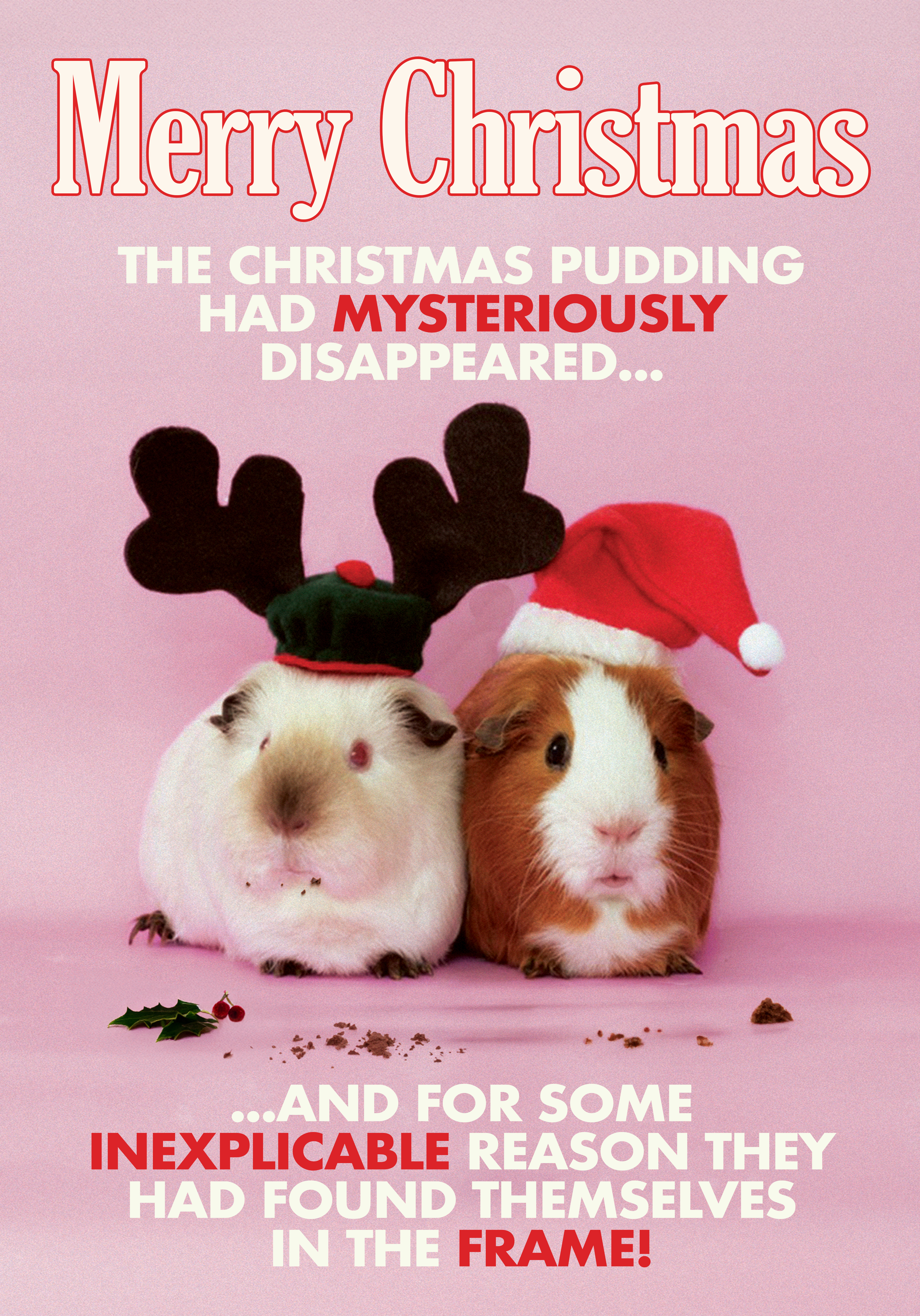 Photograph of The Christmas Pudding Mystery