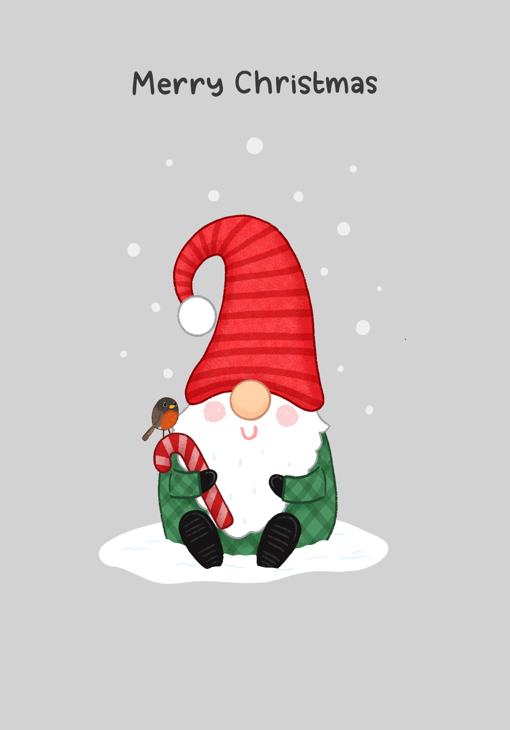 Photograph of Christmas Gnome Robin