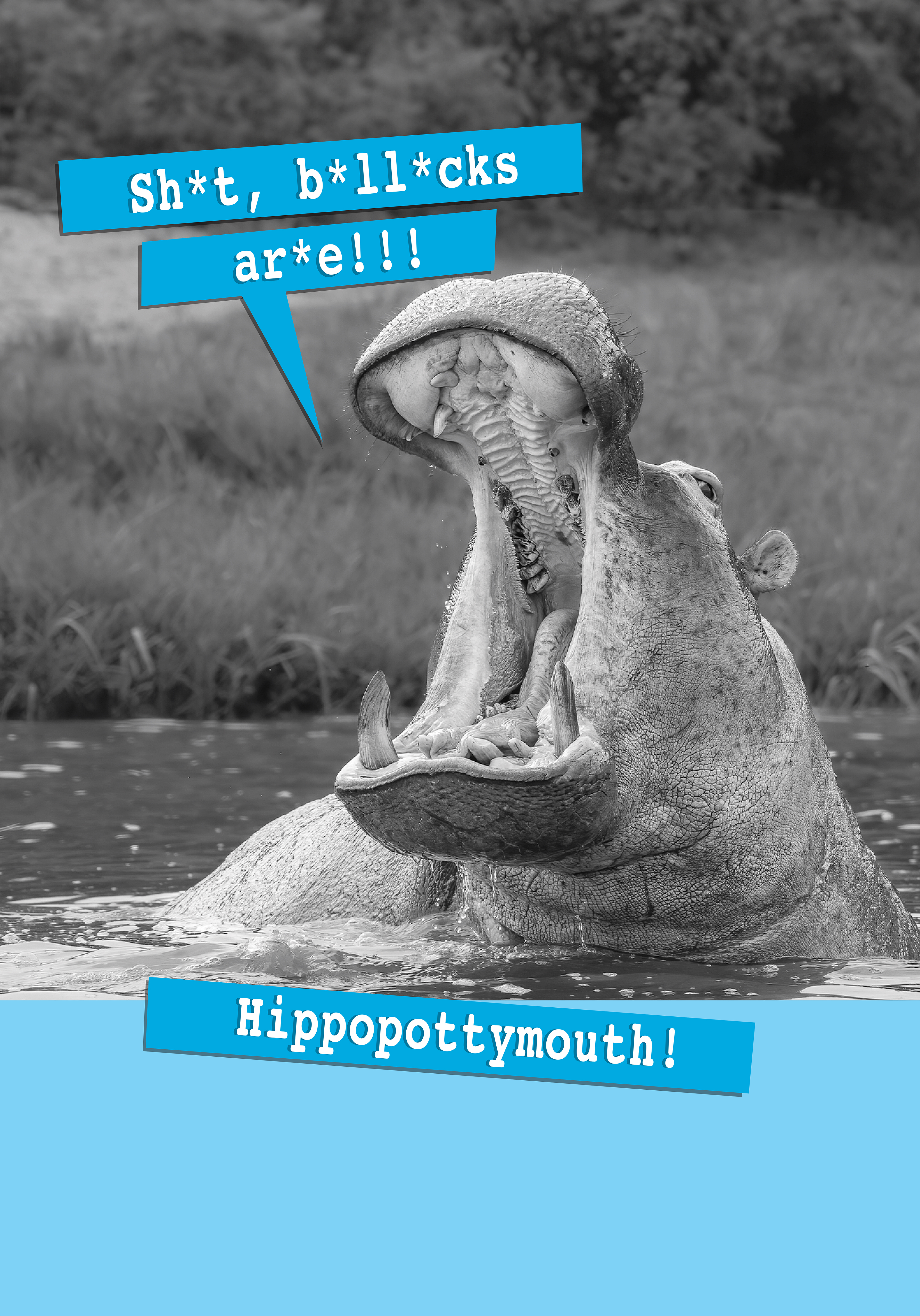 Photograph of Birthday Card - Hippopottymouth