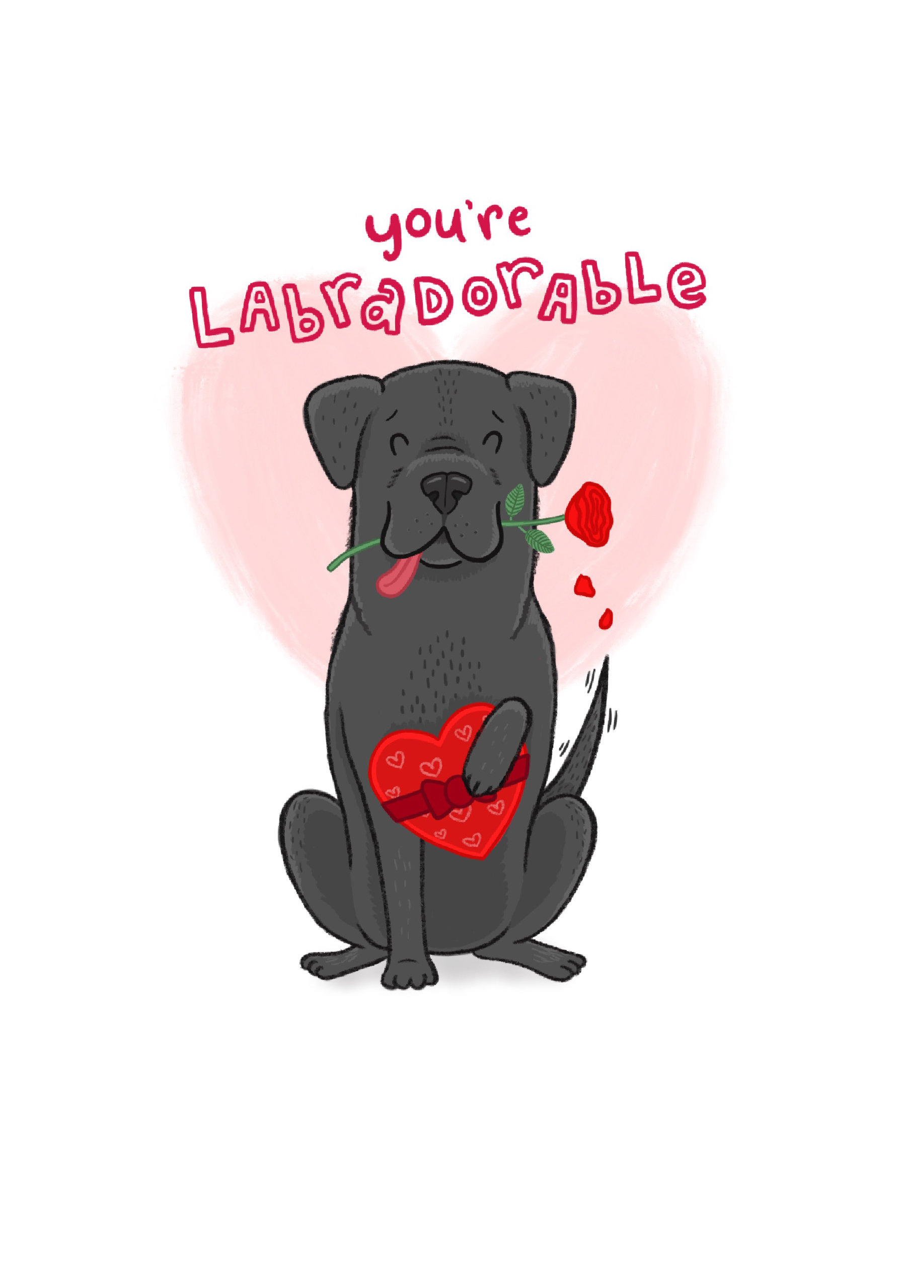 Photograph of Labradorable