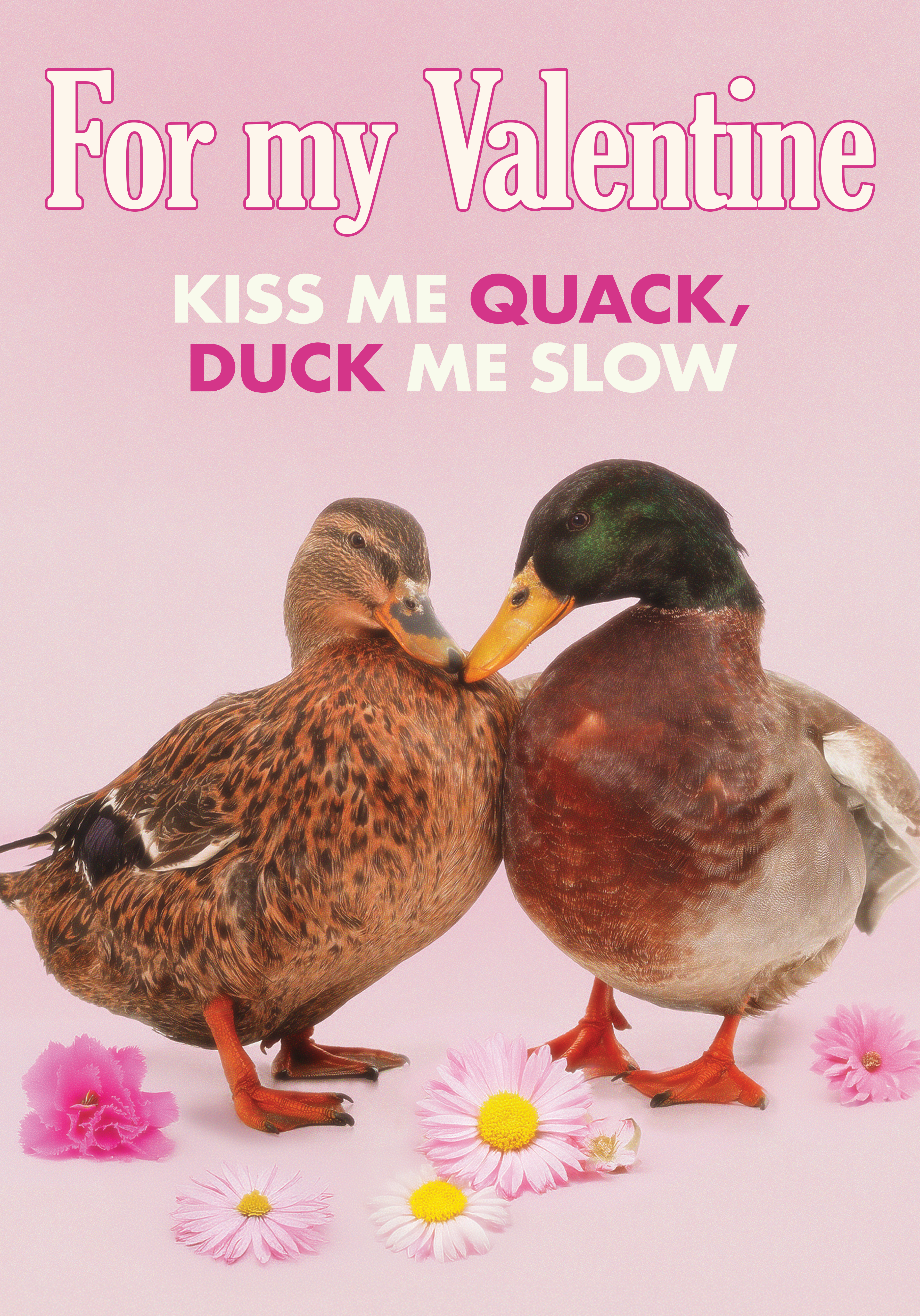 Photograph of Kiss me Quack