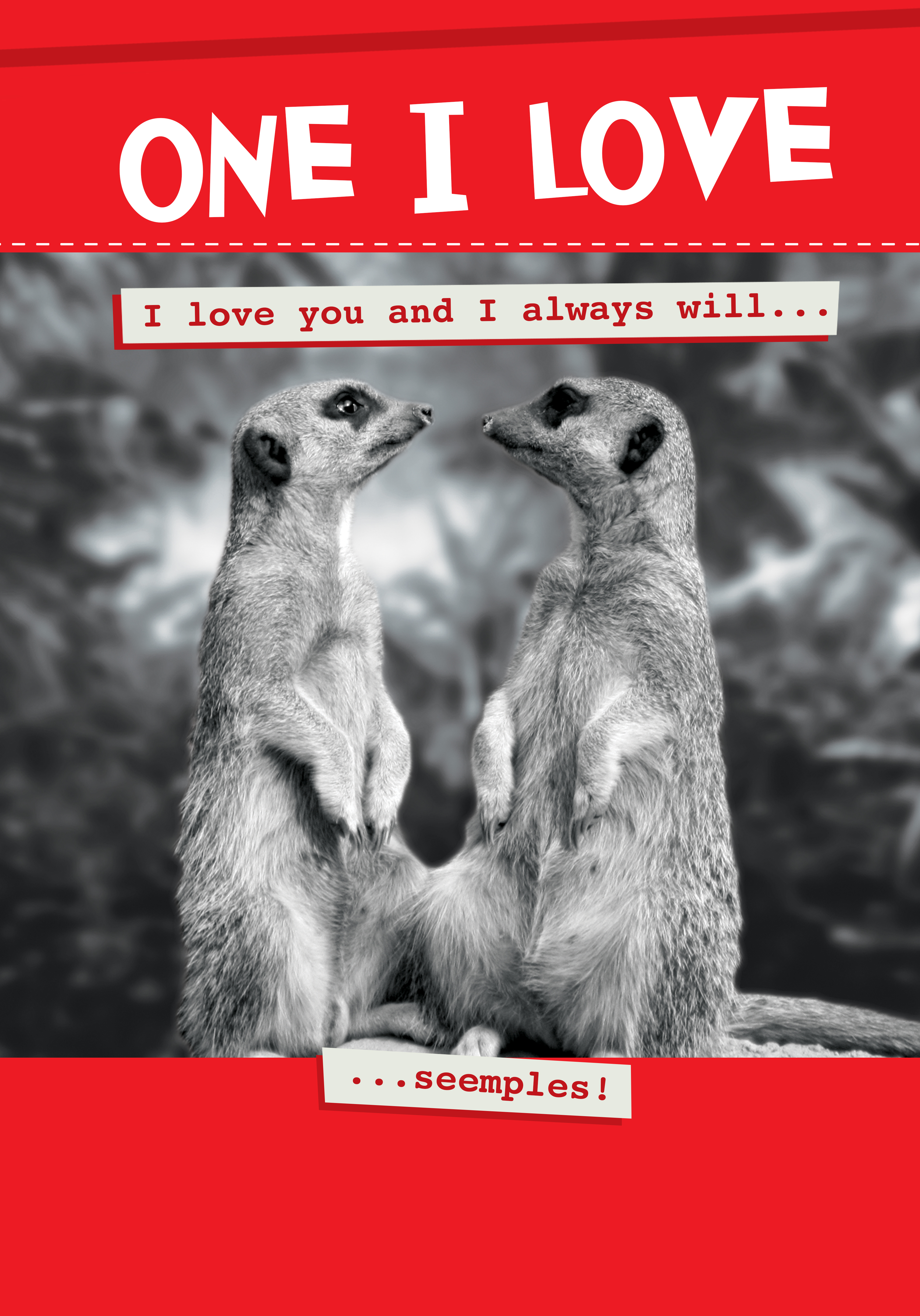 Photograph of One I Love - Meerkat Card