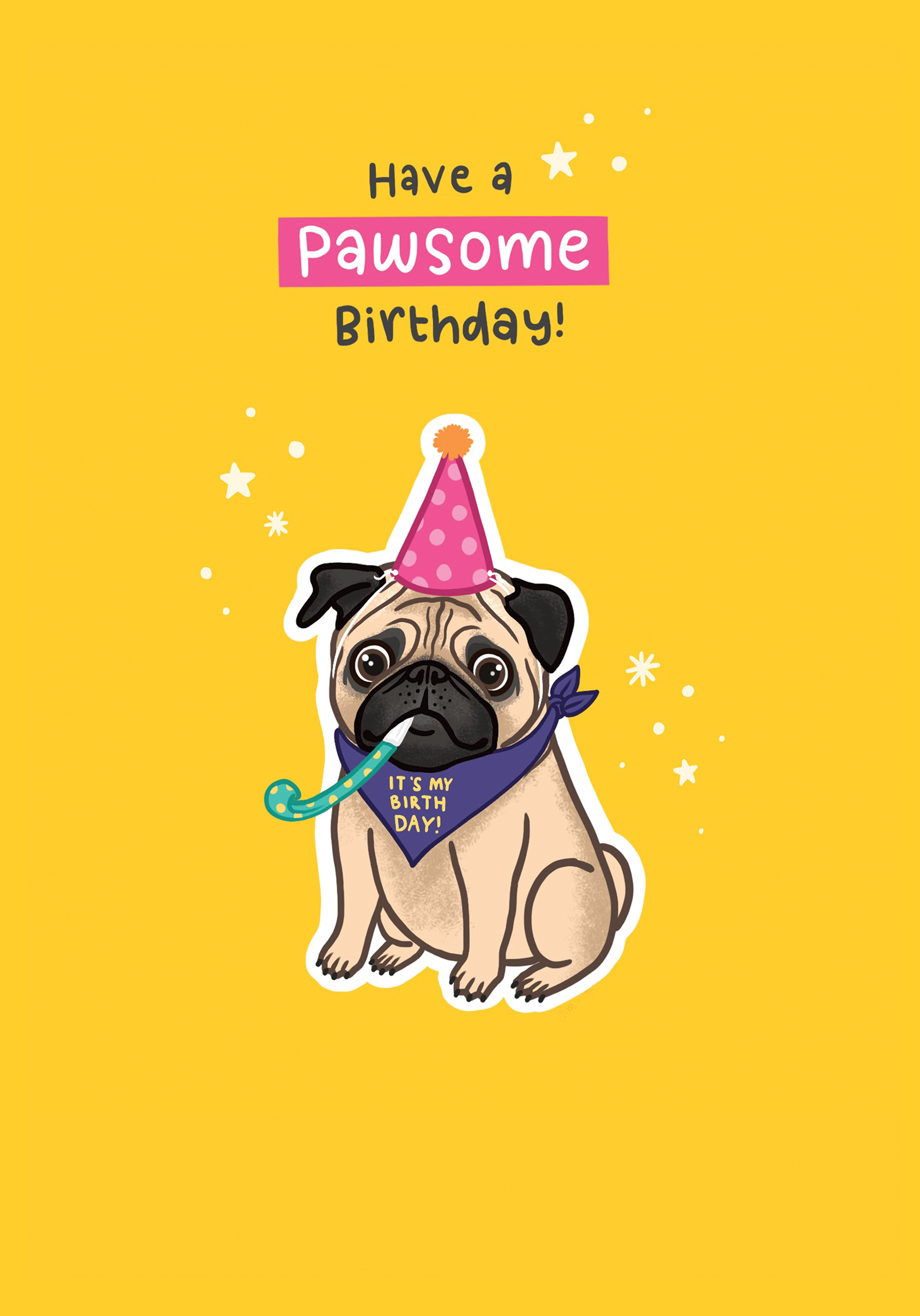 Photograph of Pawsome Pug