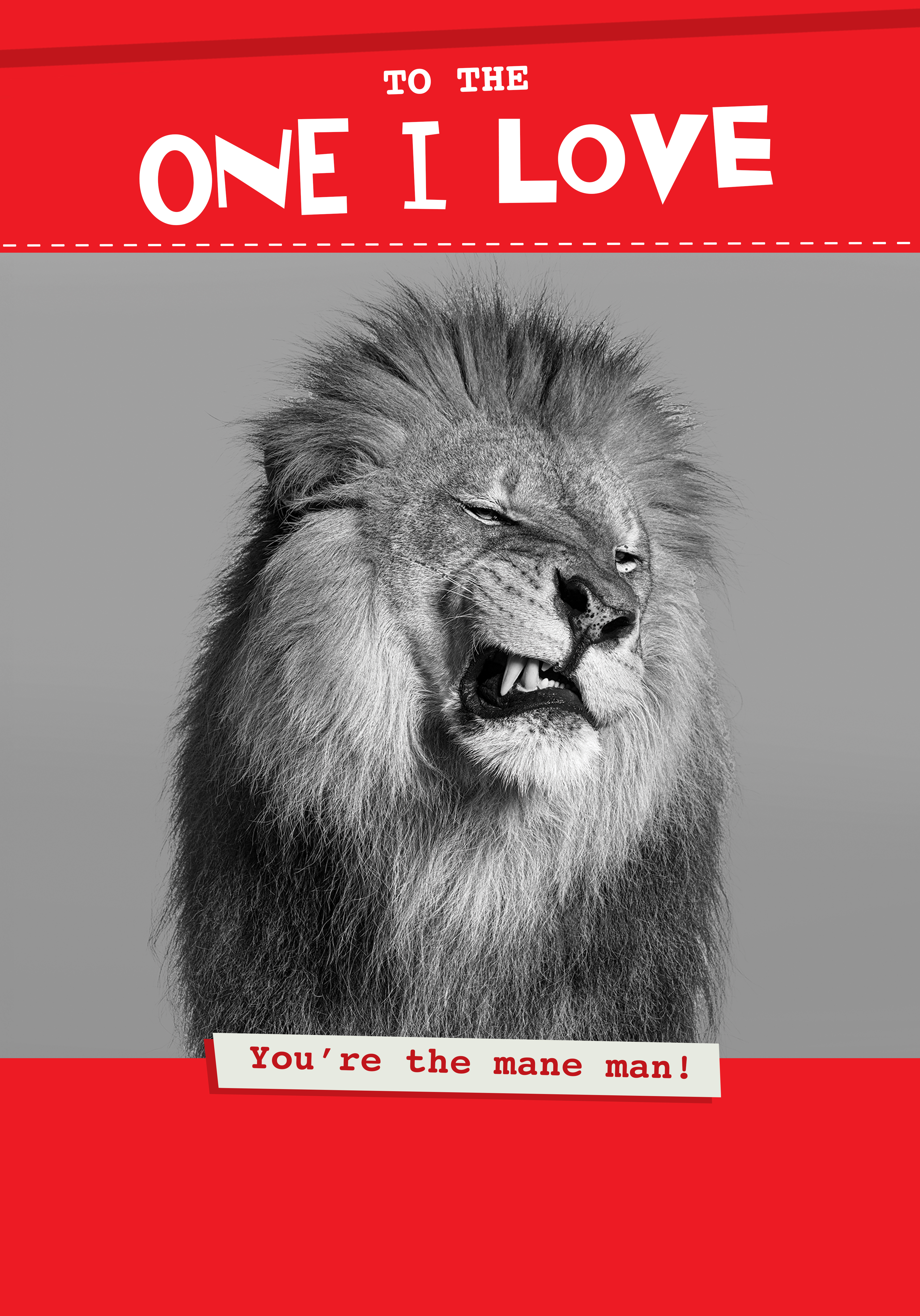 Photograph of You're the Mane Man!