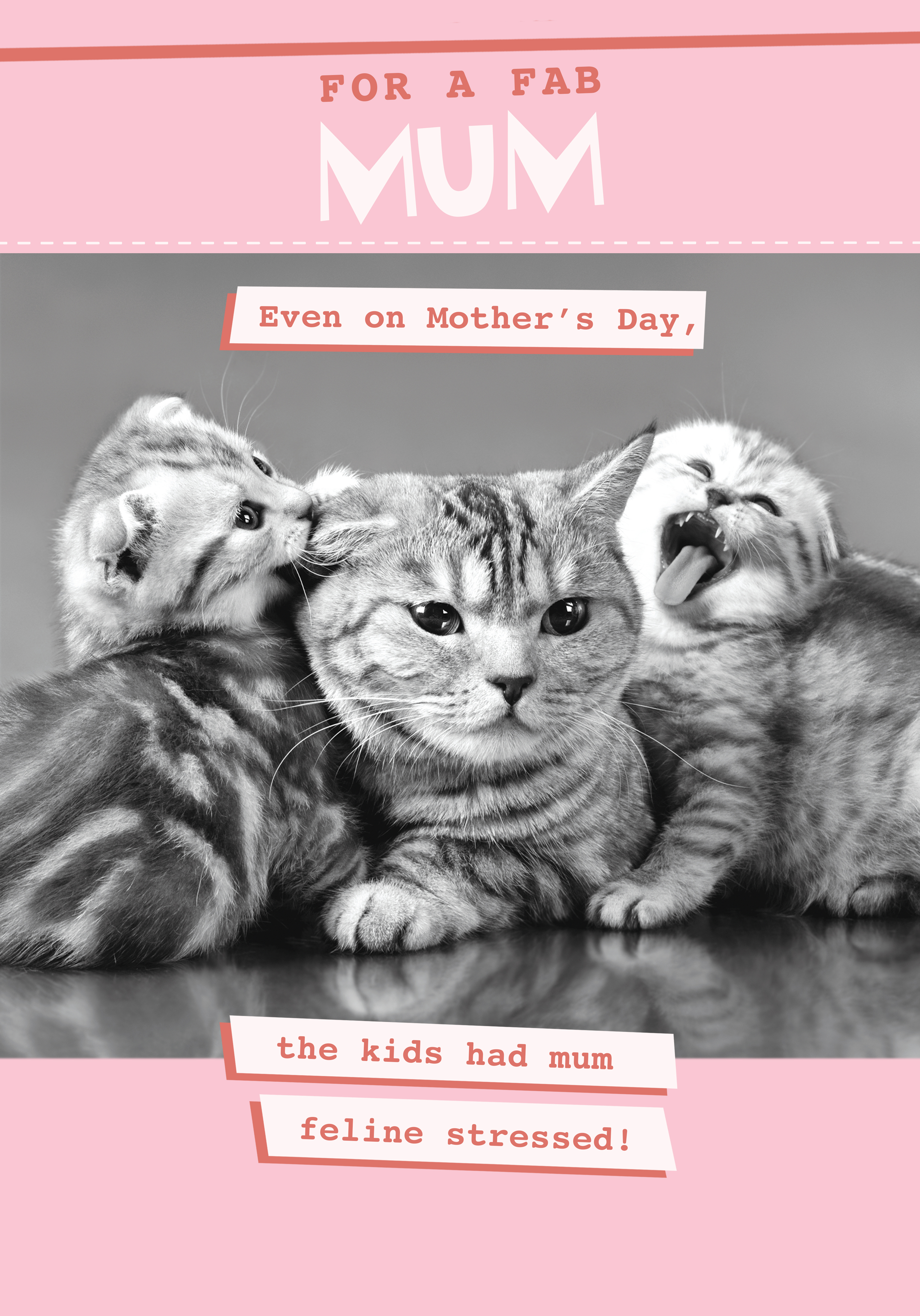 Photograph of Funny Animal Mum Card - Feline Stressed