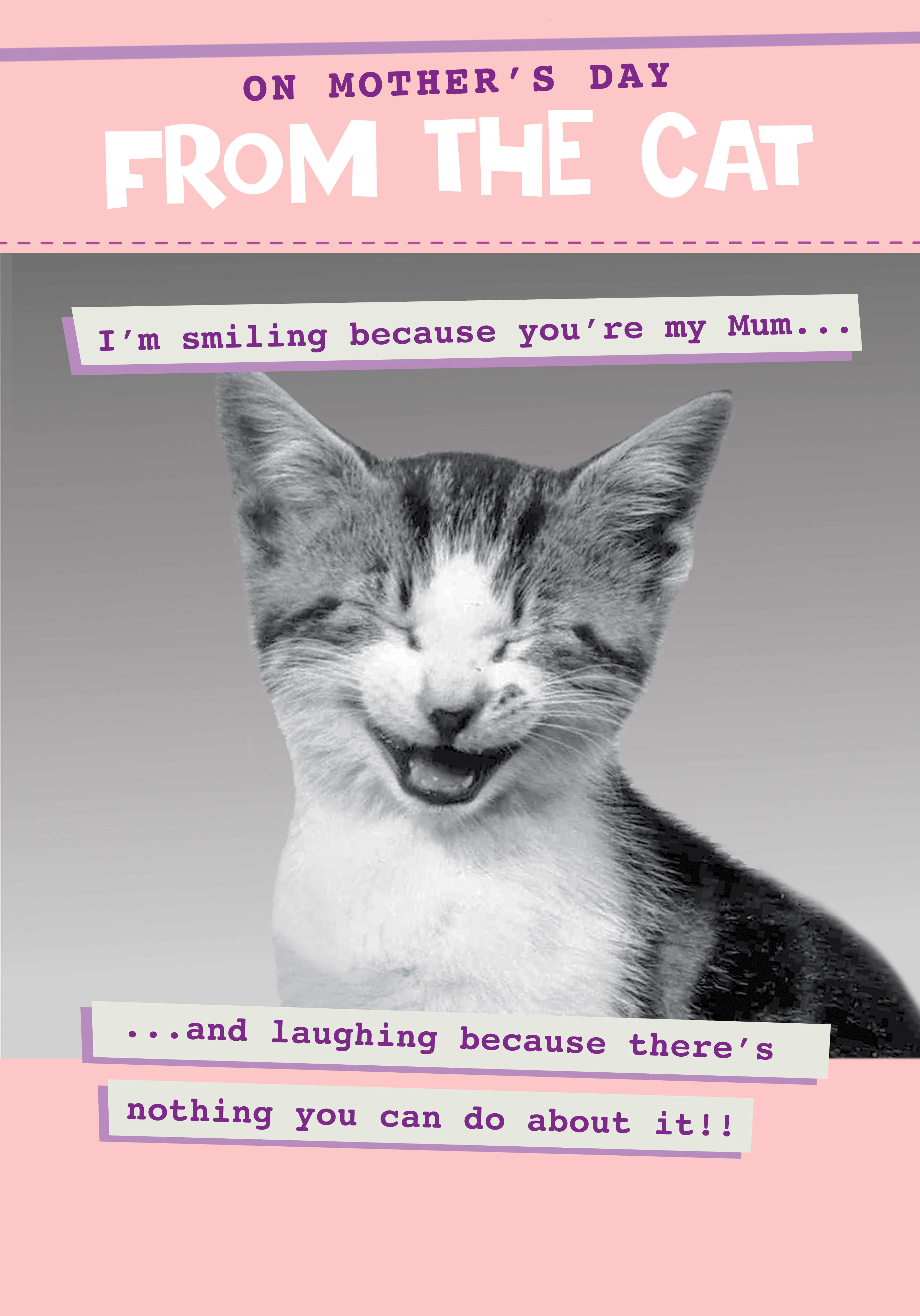 Photograph of From the Cat Mum Card - Smiling Cos You're My Mum