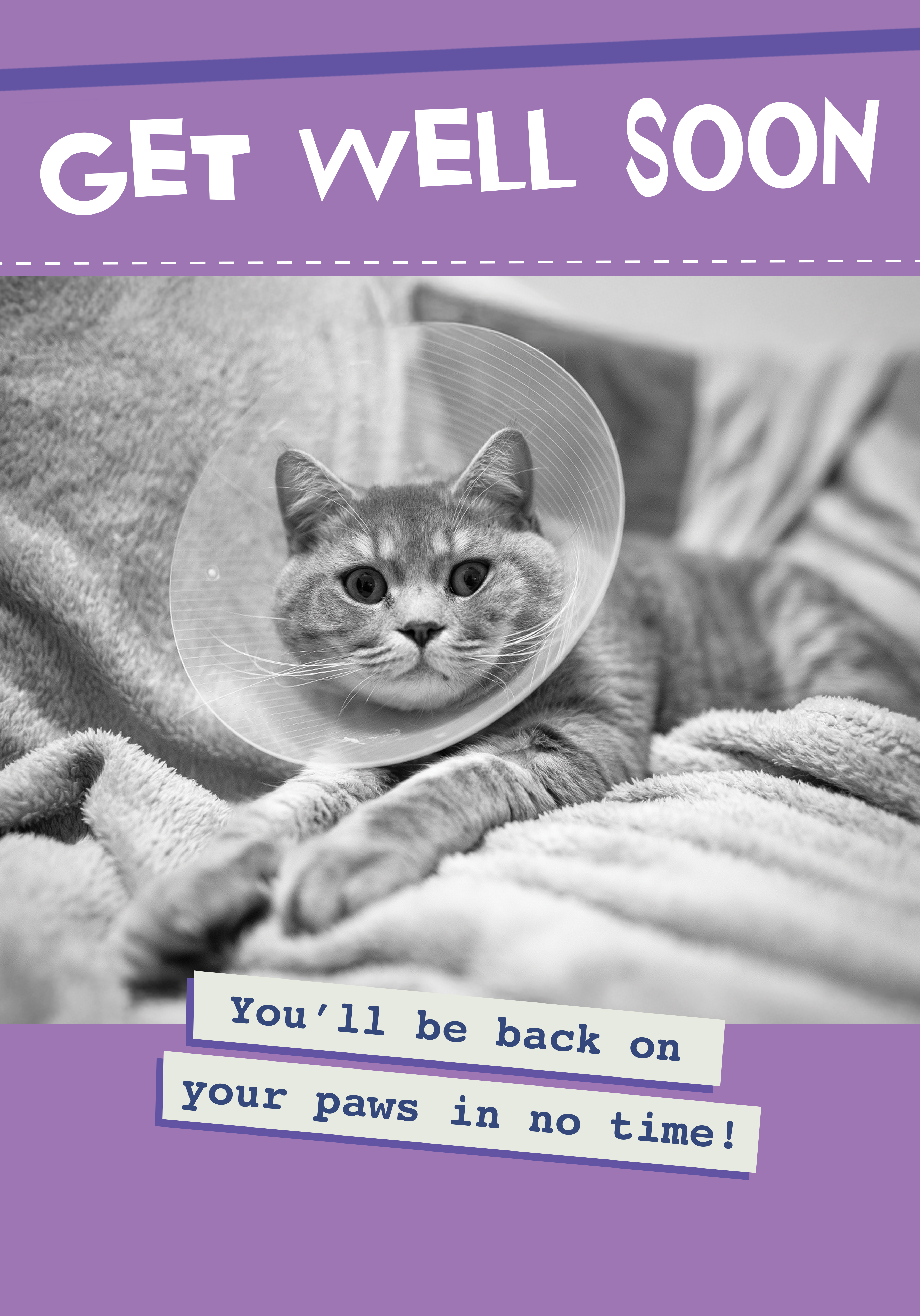 Photograph of Back On Your Paws