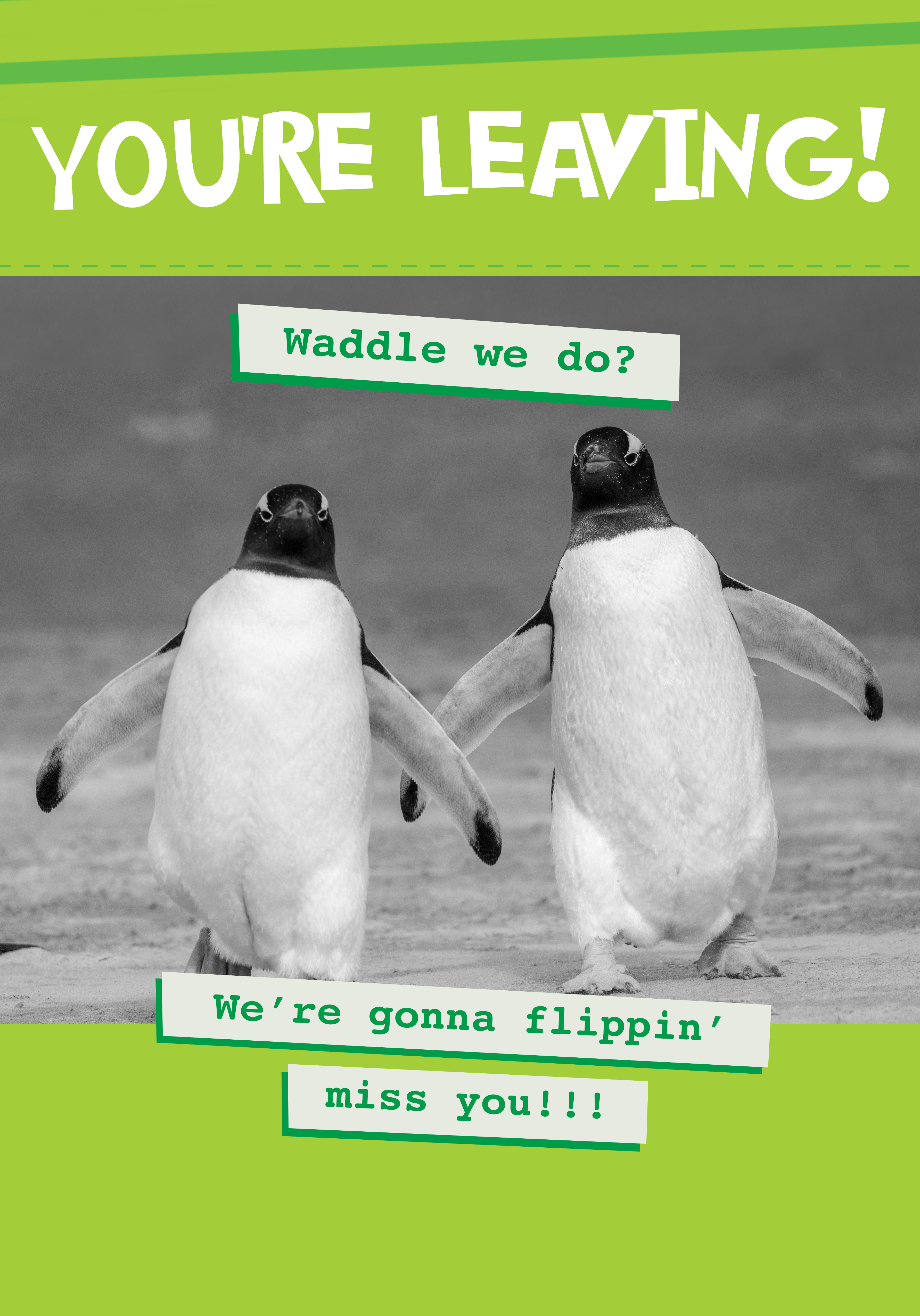 Photograph of Waddle We Do?