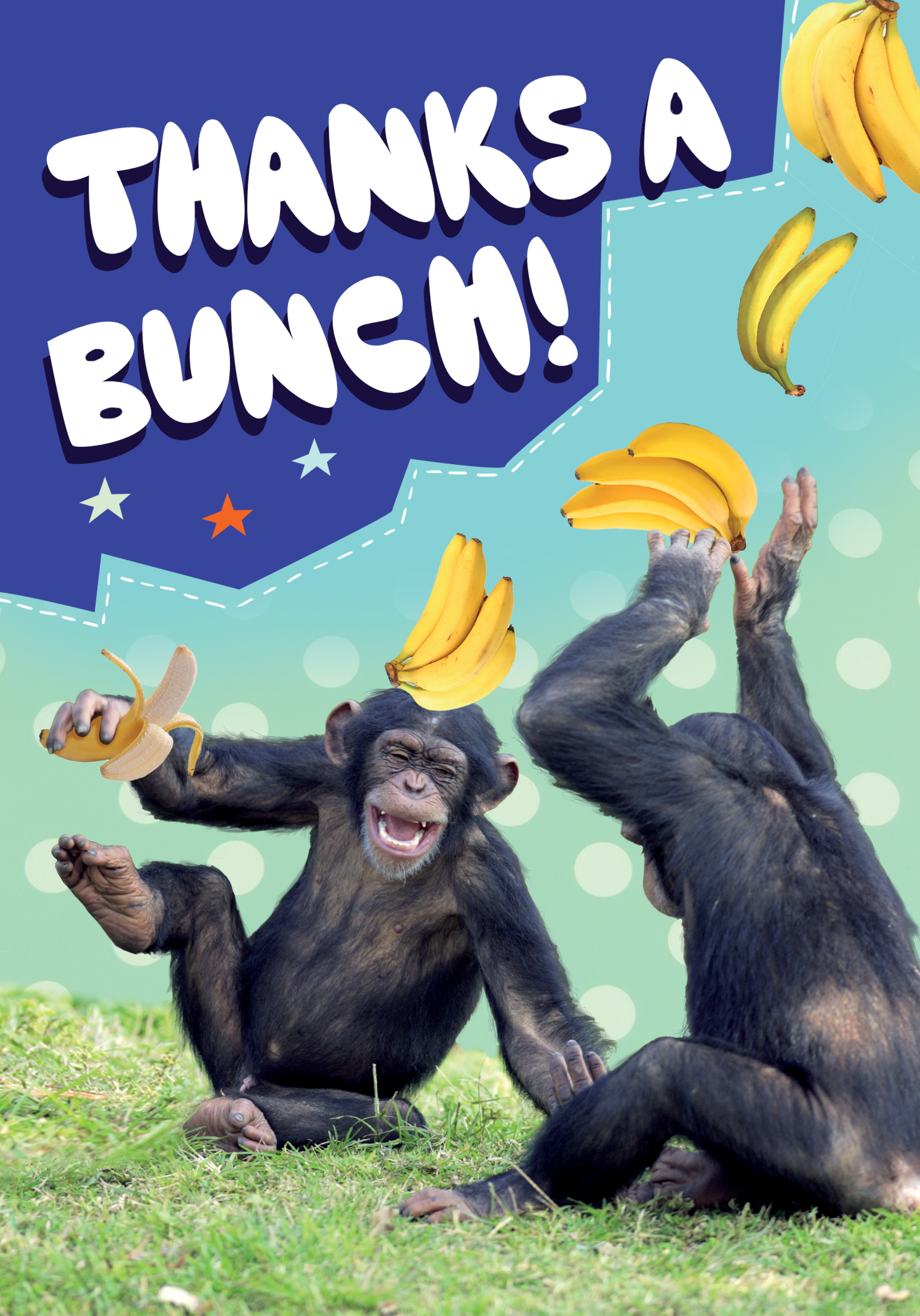 Photograph of Funny Animal Thanks A Bunch Card