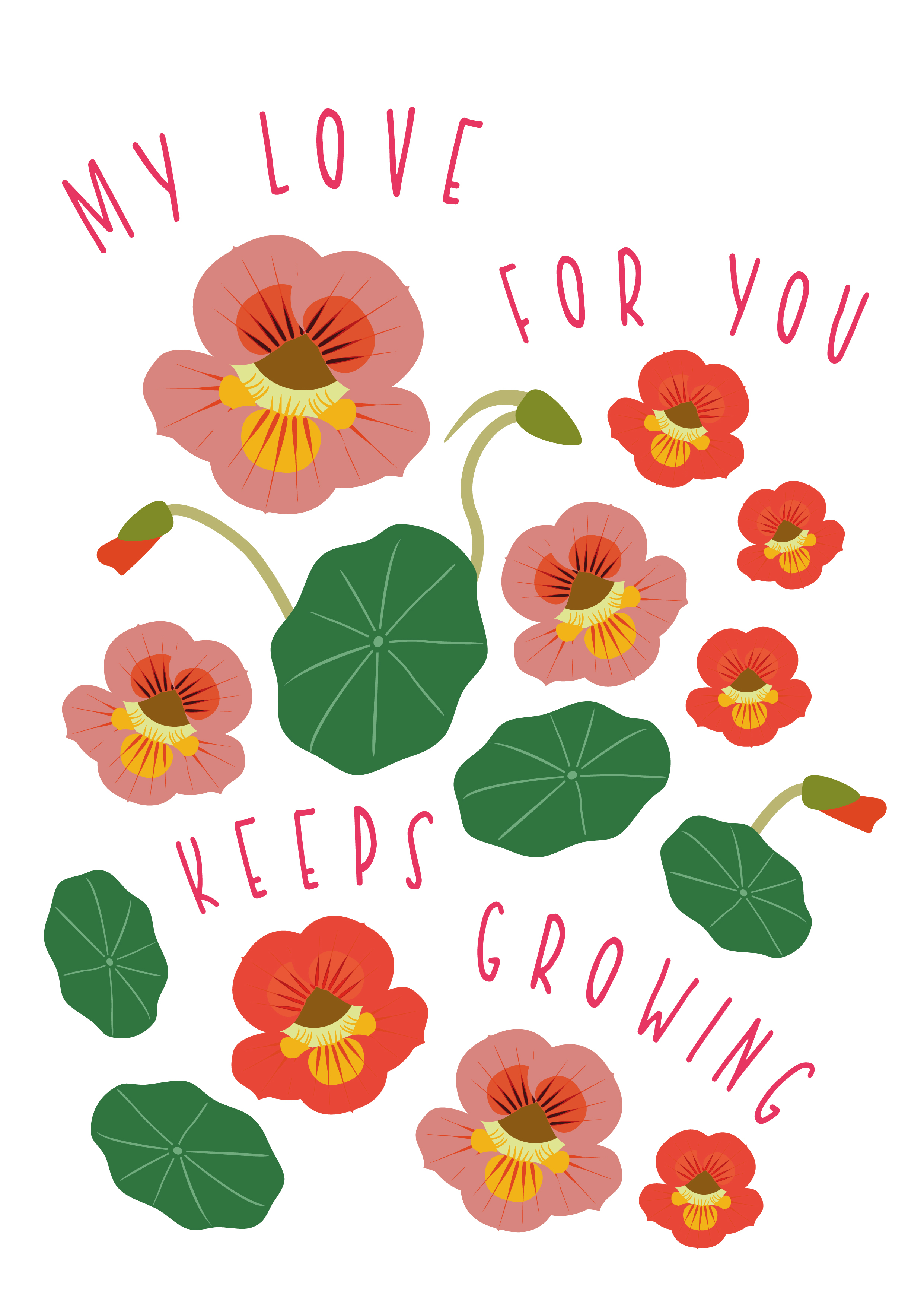 Photograph of Nasturtiums - My Love for You Keeps Growing