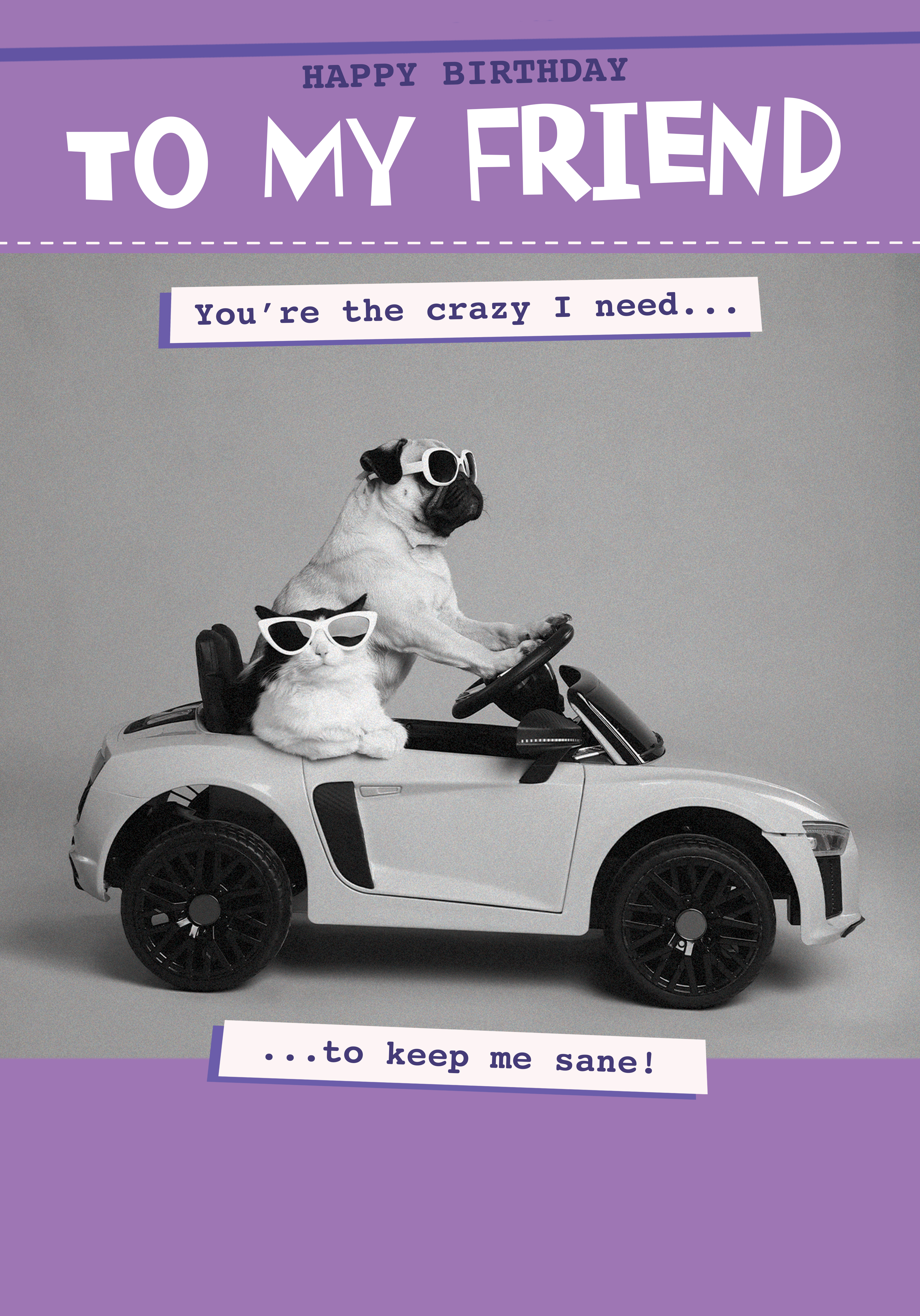 Photograph of Friend Birthday Animal Humour