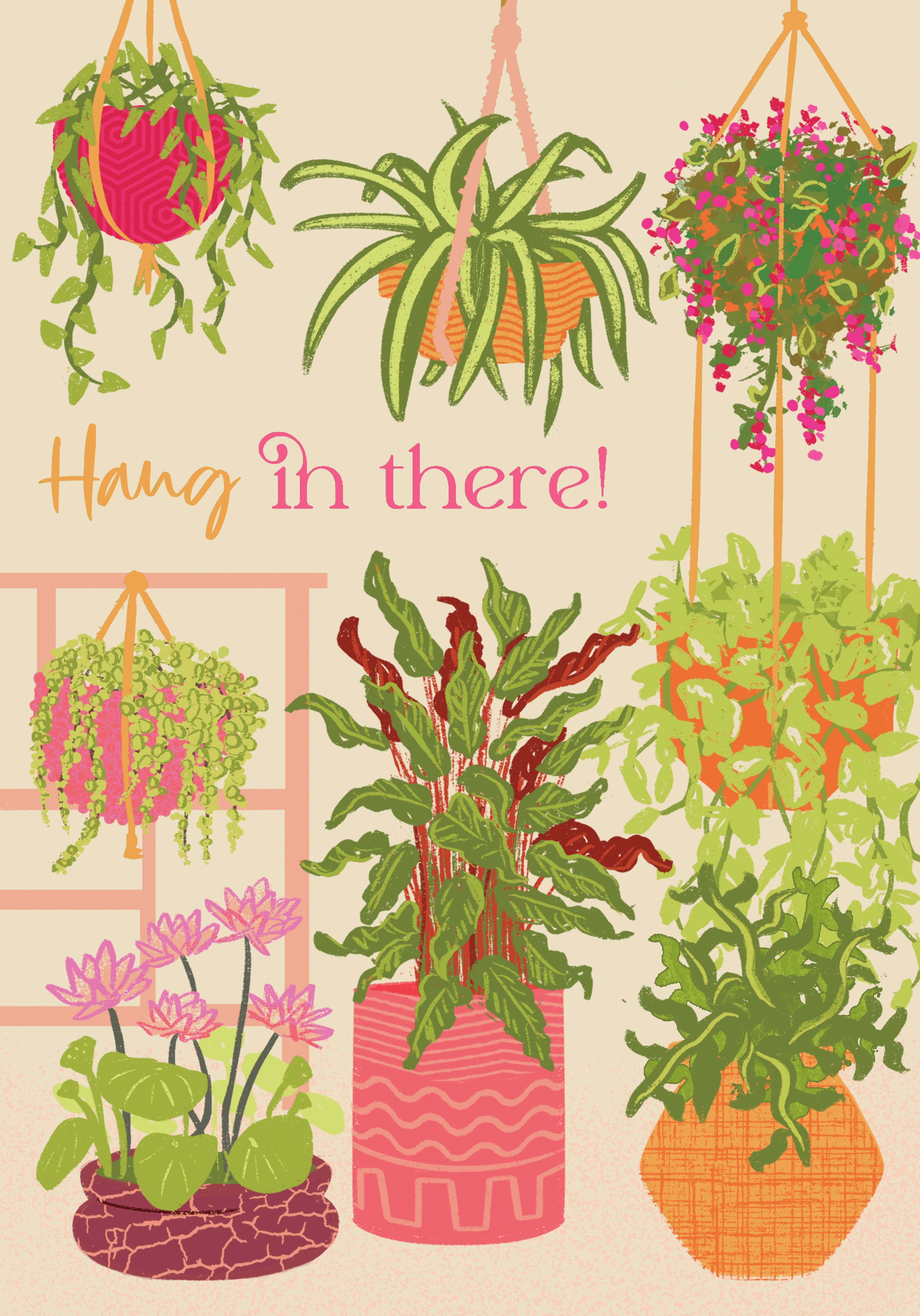 Photograph of Thinking of you - Hang in there Cute Plants