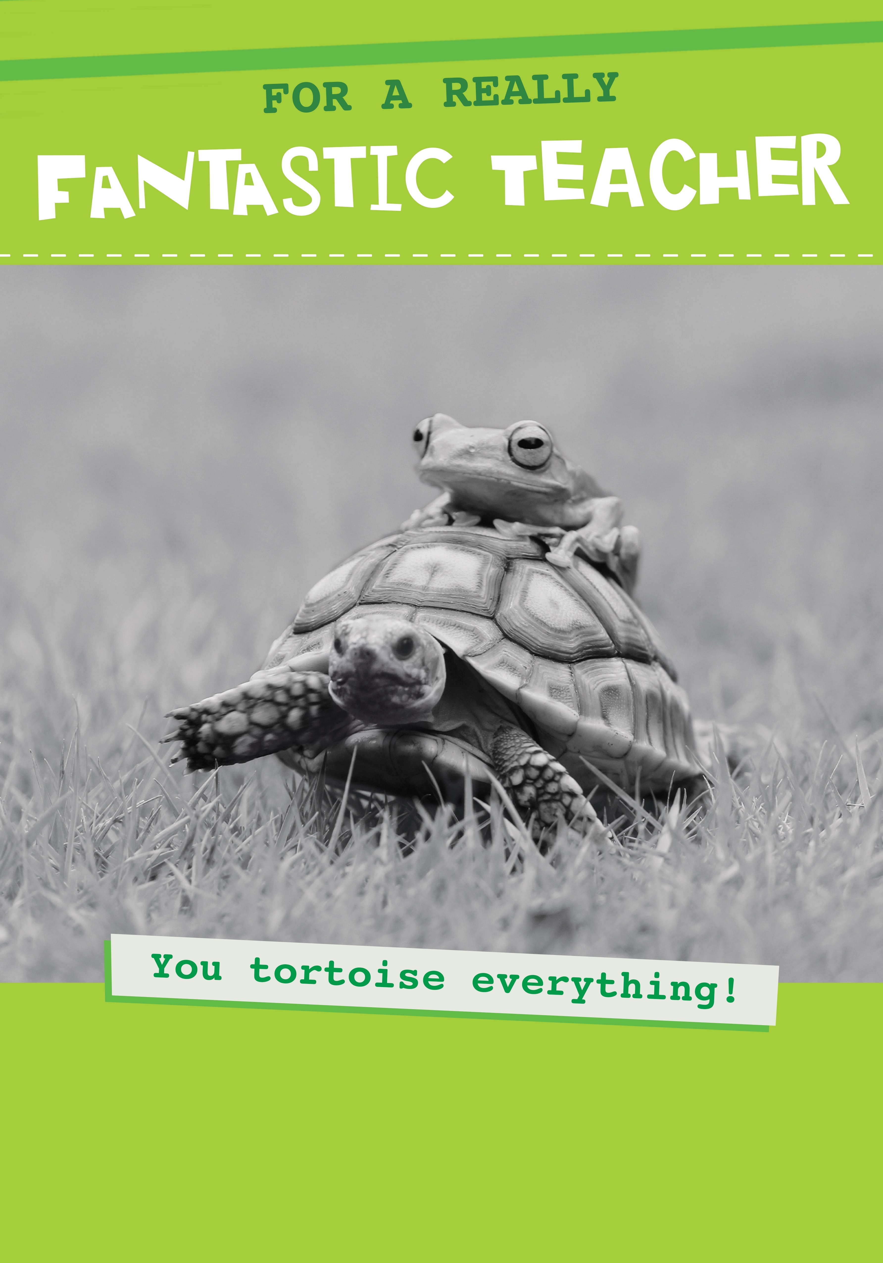 Photograph of Thank you Teacher