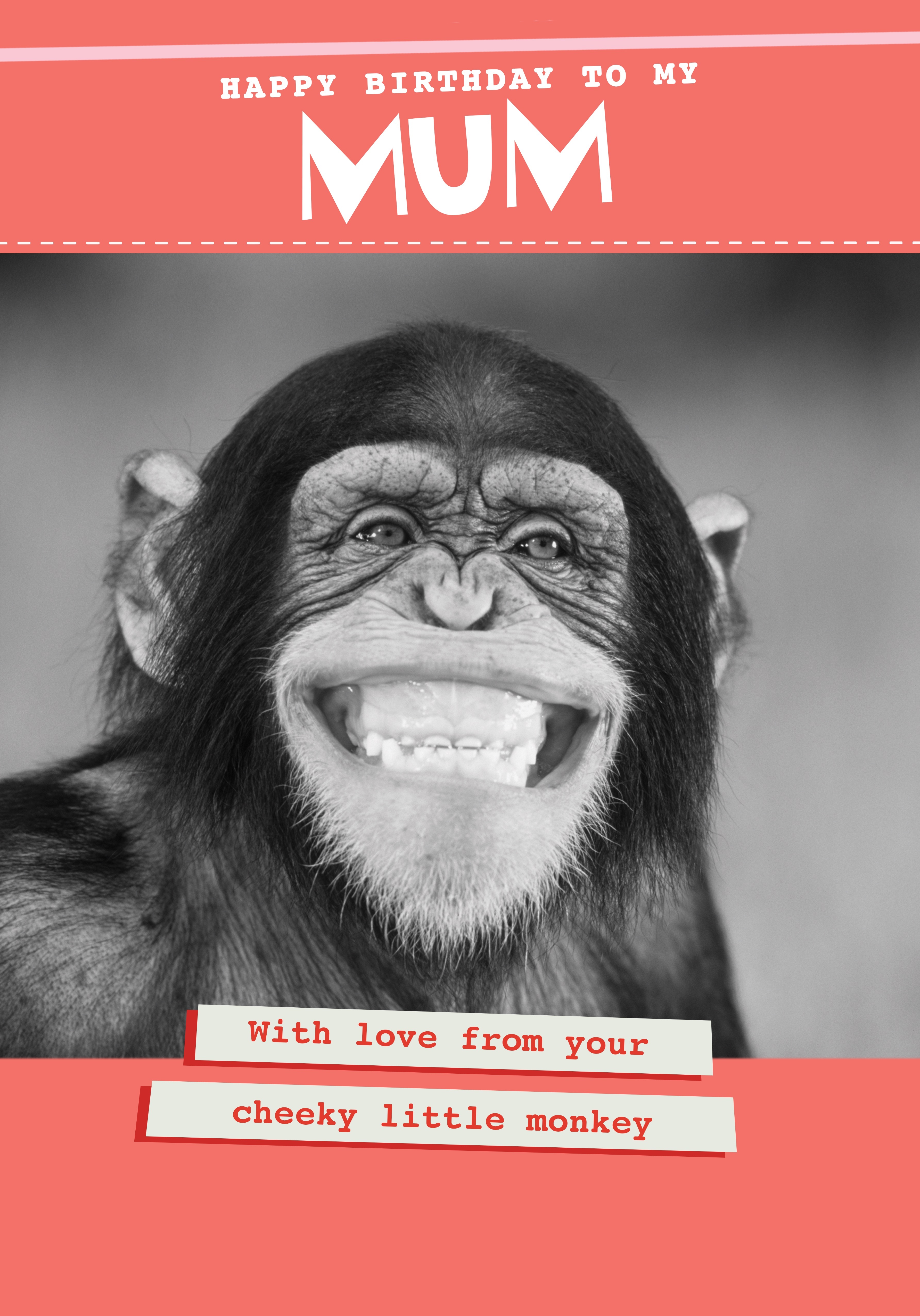 Photograph of Mum animal birthday - from your cheeky monkey