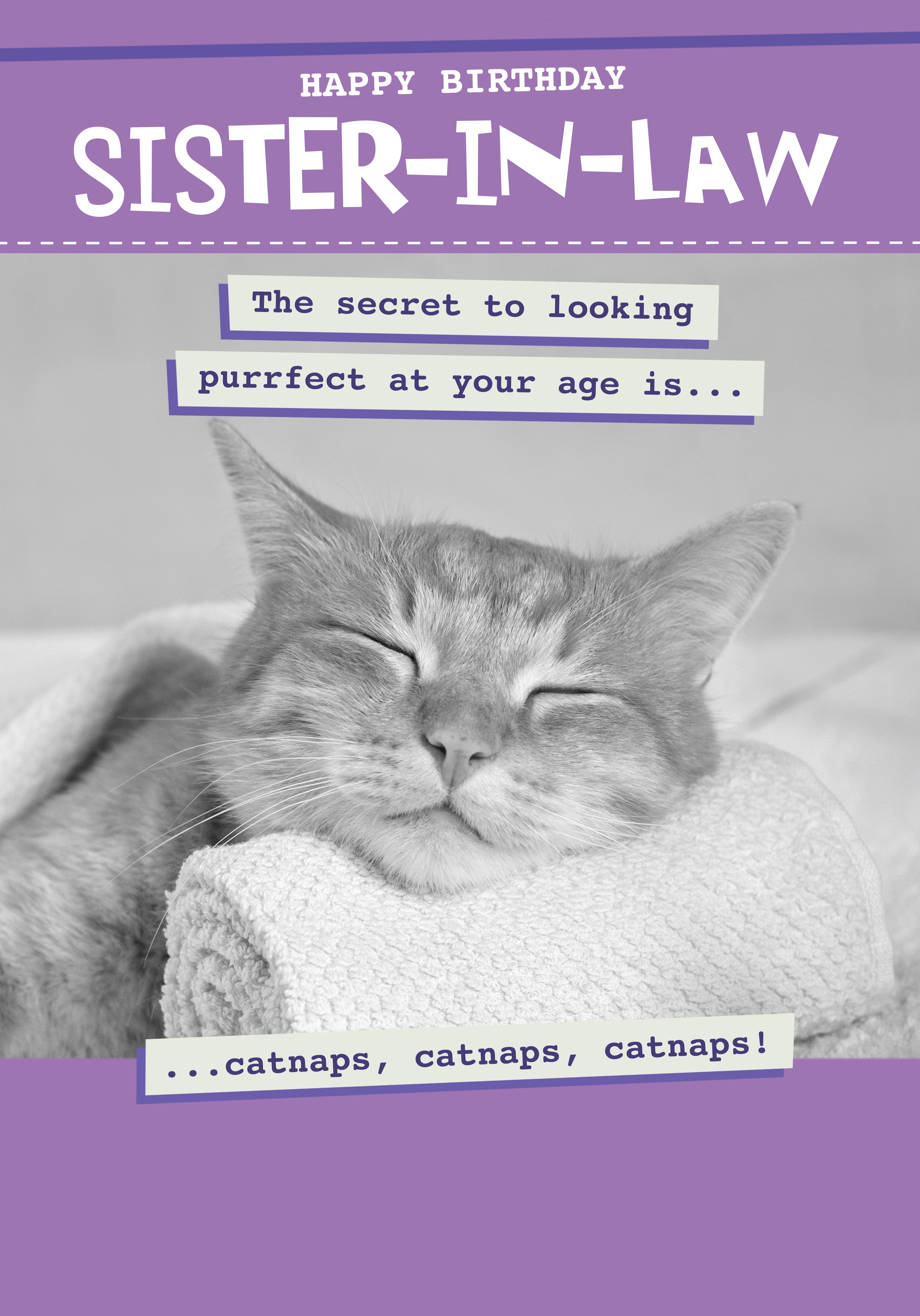 Photograph of Sister-In-Law Animal Birthday - The secret