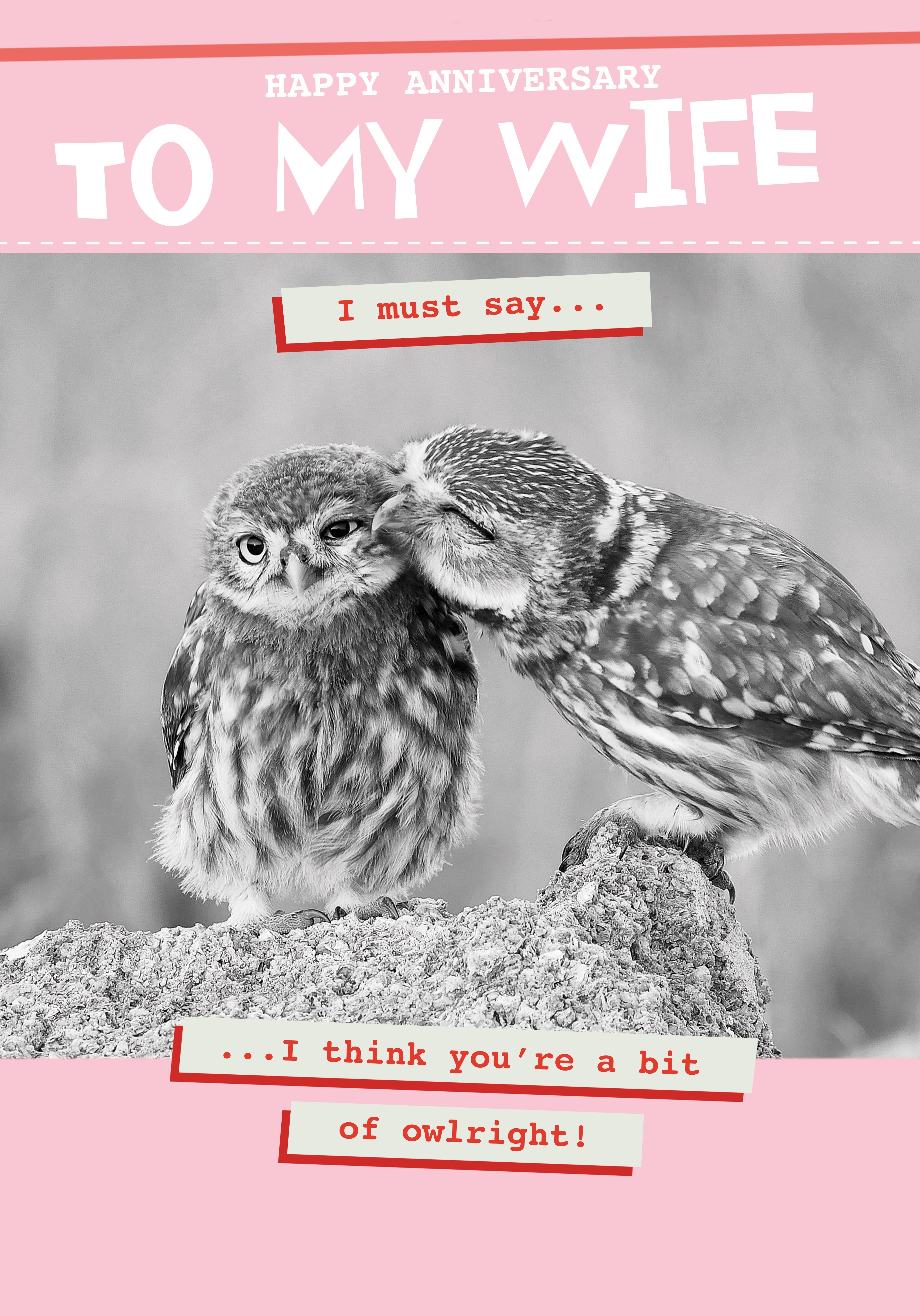 Photograph of Wife Anniversary - you're a bit of owl right!