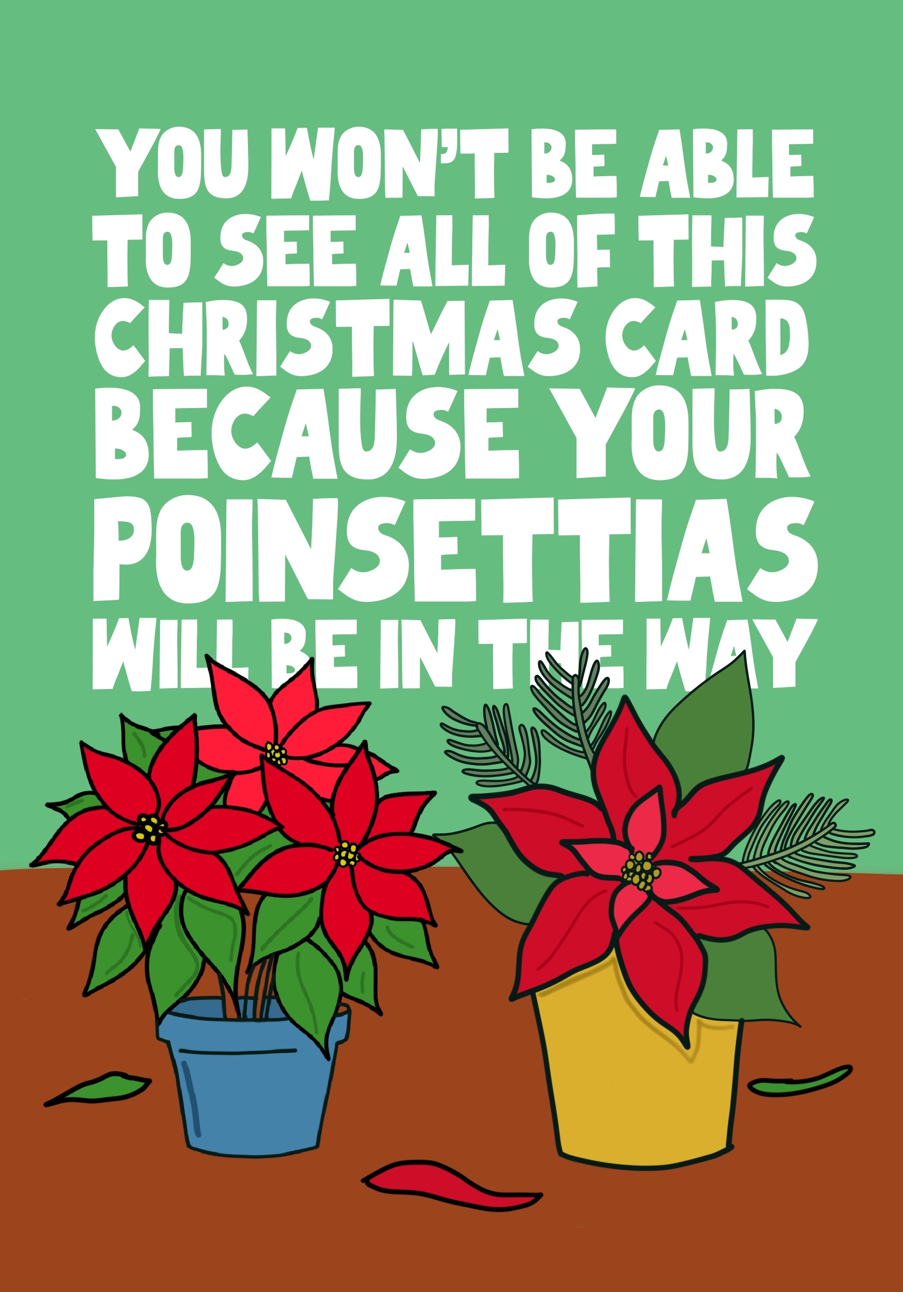 Photograph of Poinsettia Collection