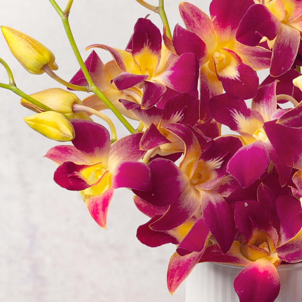 Flower Delivery Bunches