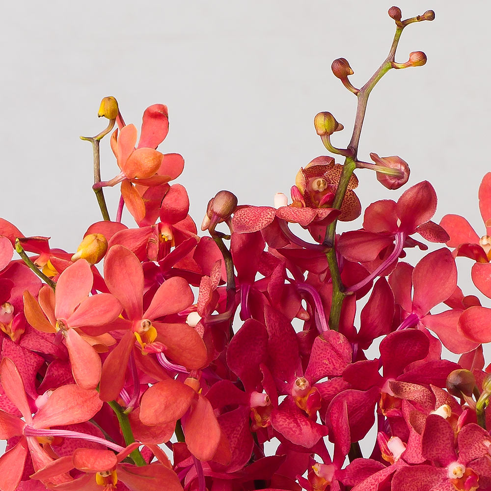 Flower Delivery Bunches