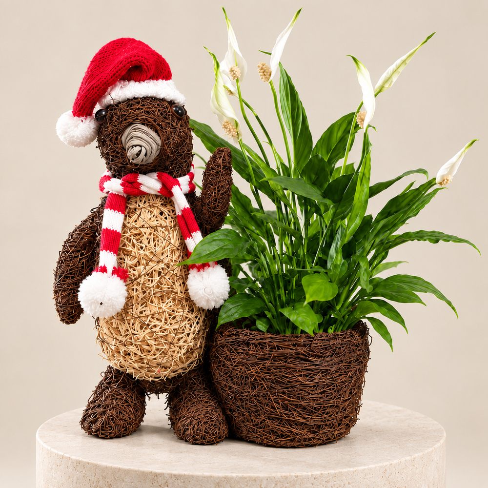 Photograph 1 of Festive Penguin Planter