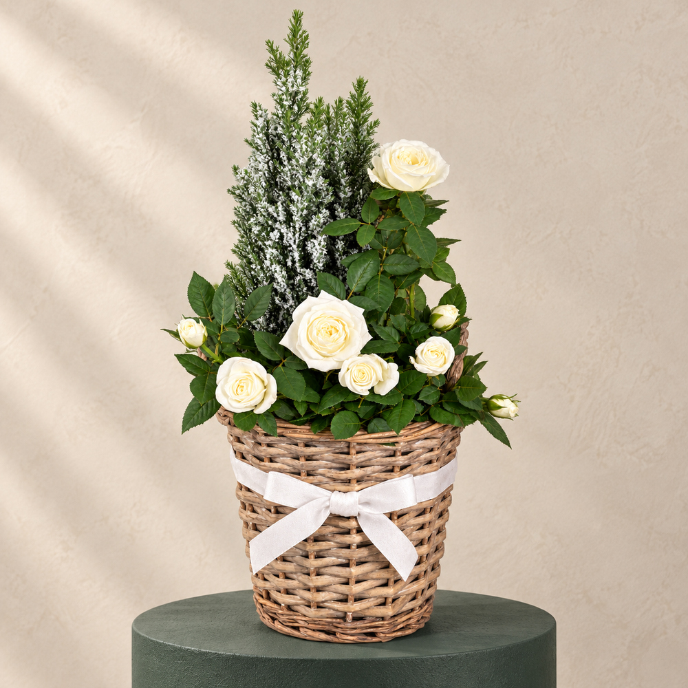 Photograph 1 of Winter Basket