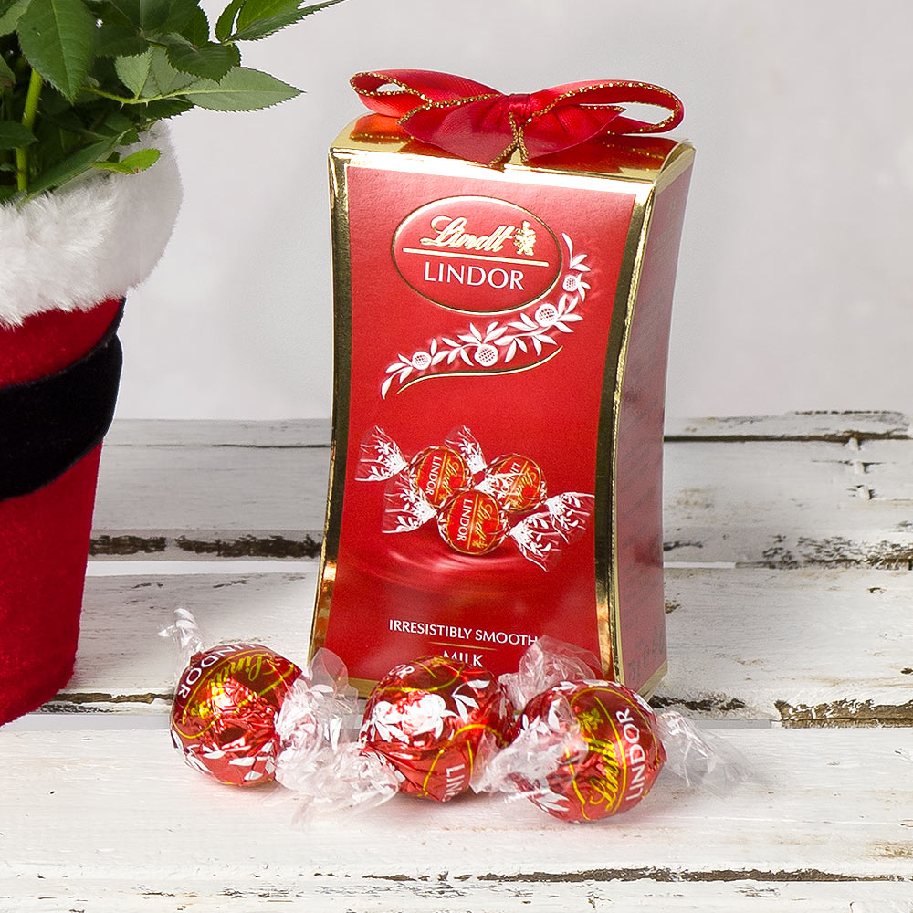 Photograph 3 of Santa Red Rose Gift